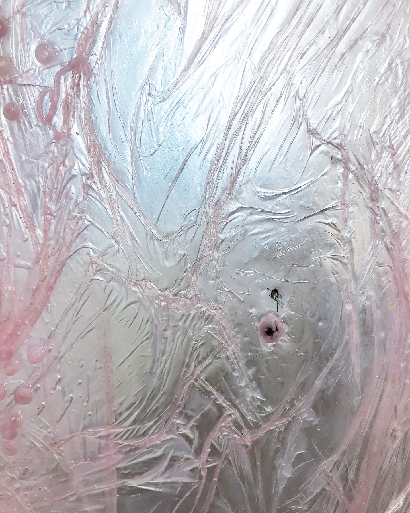 Strawberry Legs II (detail), Augurhythms (2022)