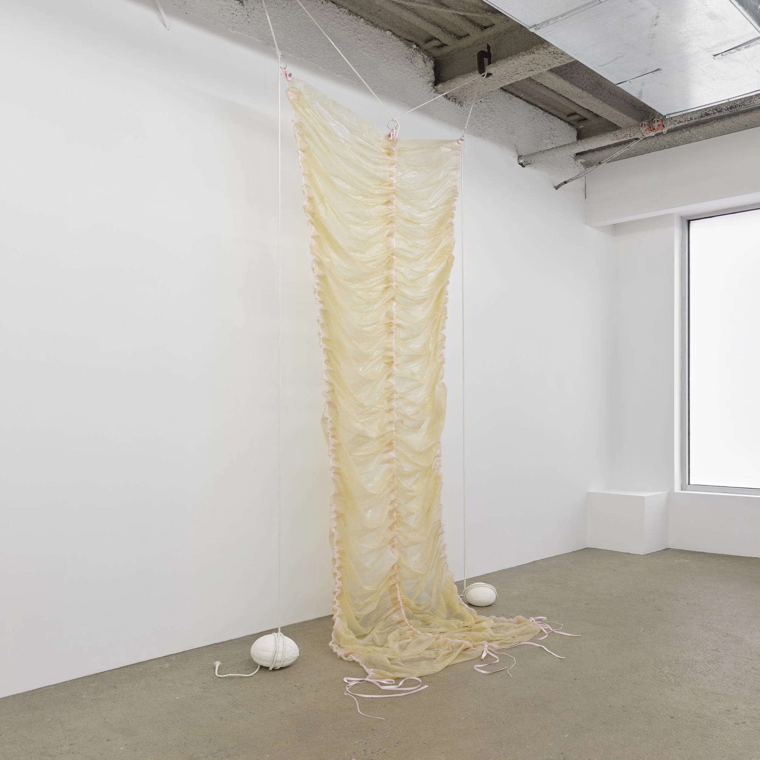 Untitled (piece of Pinkie II), 2021
Collagen dyed with soda, silicone, baby powder, ribbon, scrotum clamps,
cotton rope, cast plaster melons
124" x 52" x 36" 