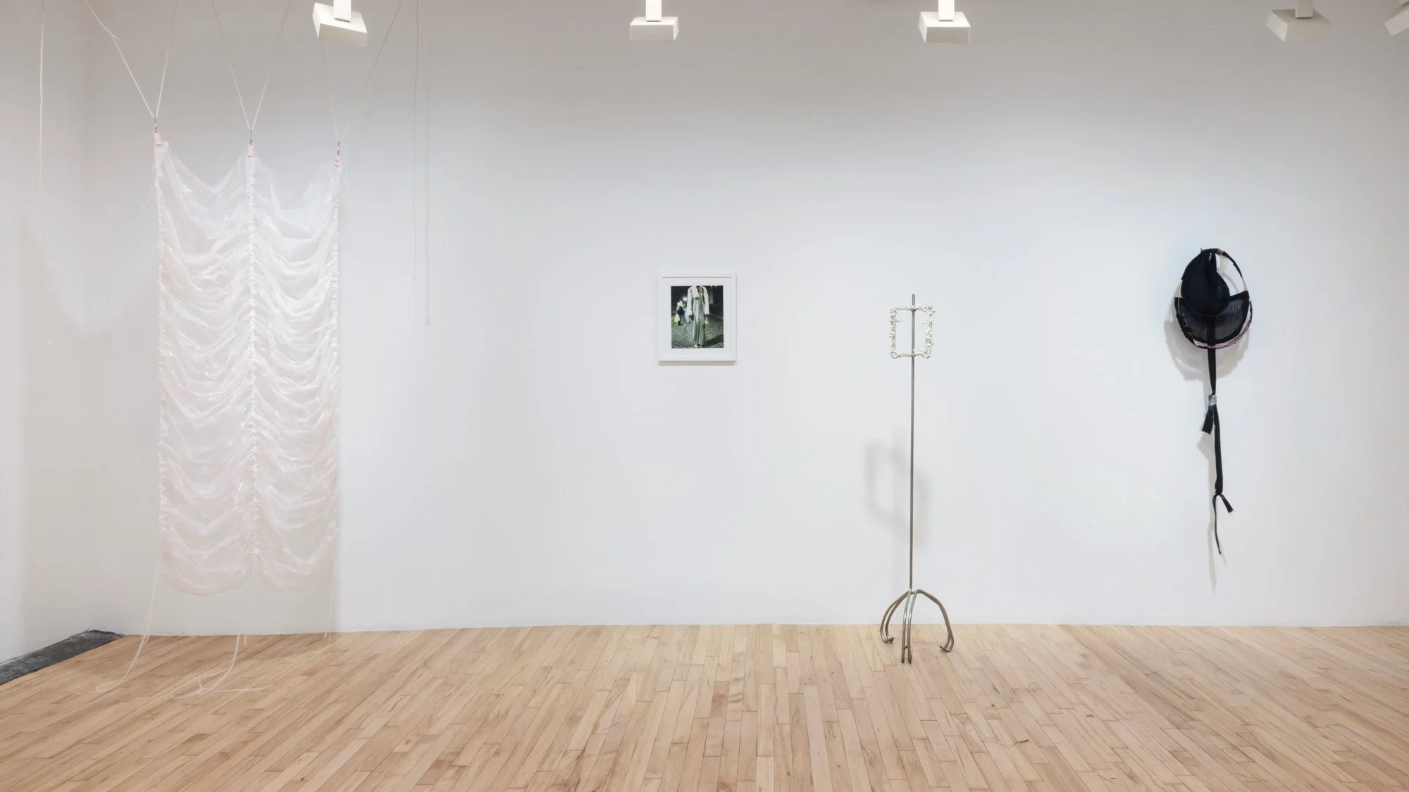 Pinkie (study), 2025