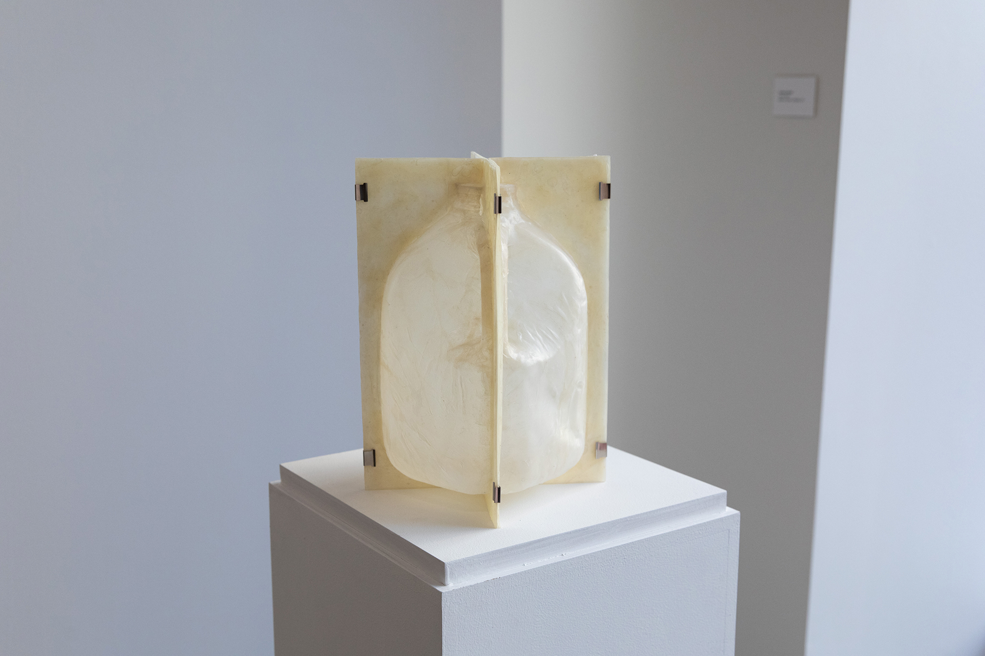 vessel, 2024. gallon of water, collagen, 9" x 9" x 12". Installed in "West Follies," solo exhibition in Fort Worth, TX