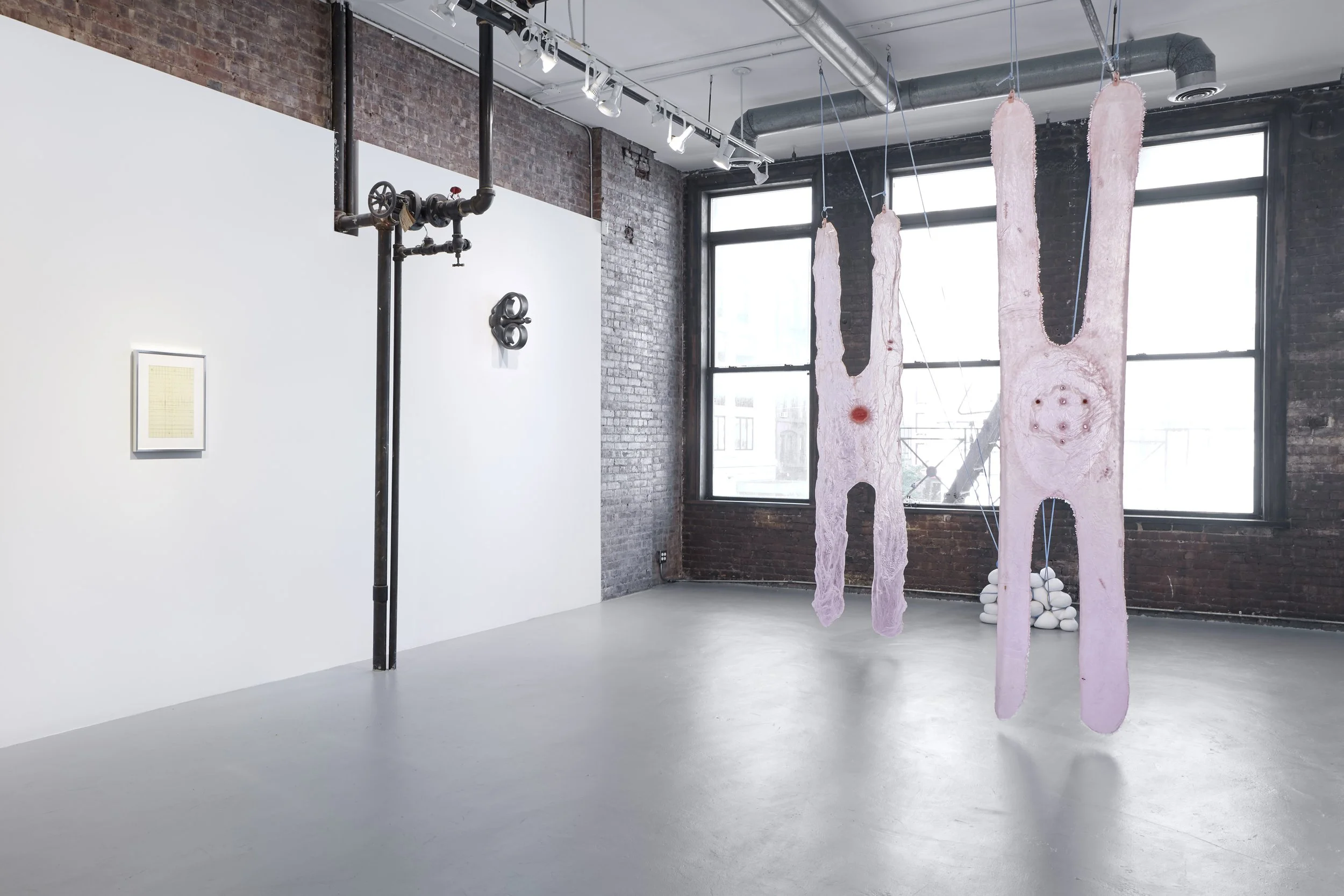 Strawberry Legs II & III, Viscera (2022)