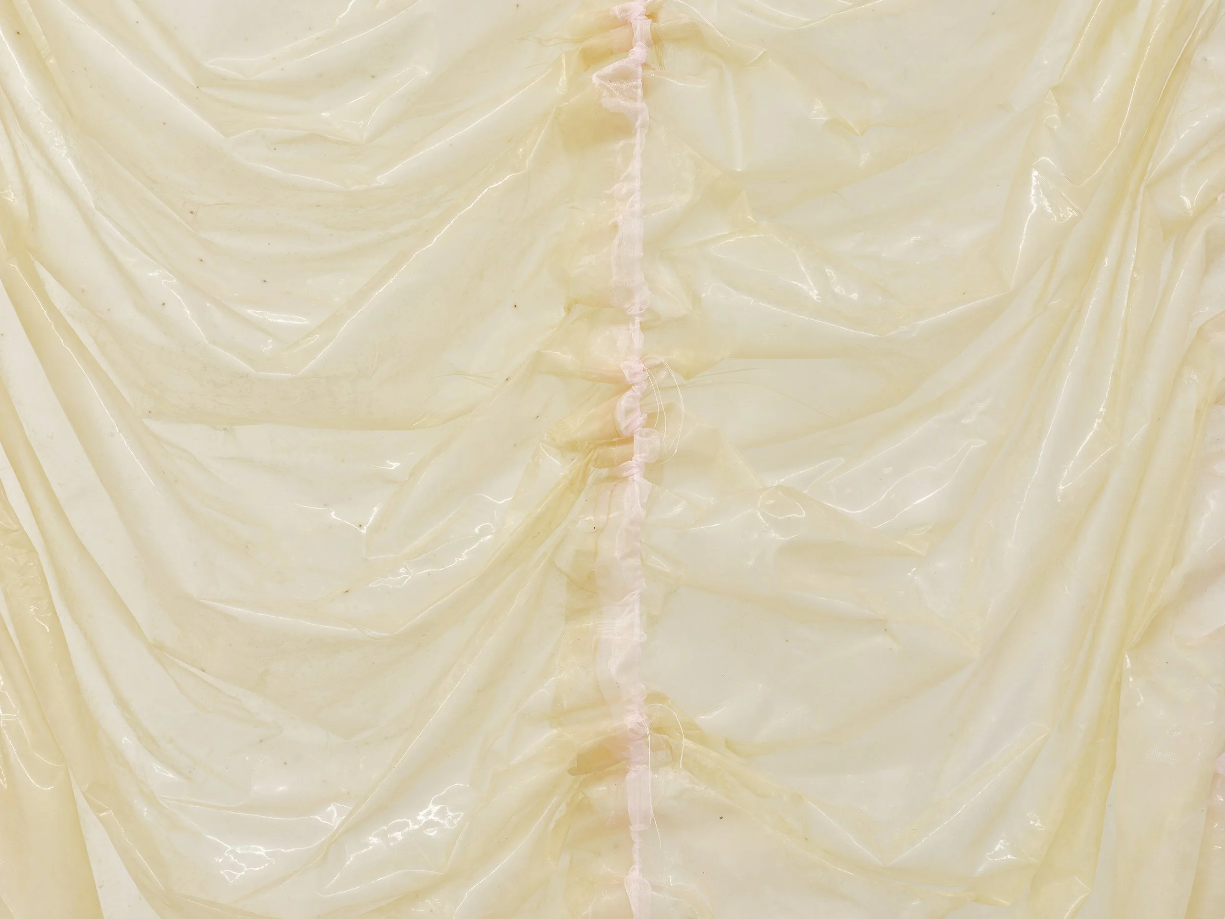 Untitled (piece of Pinkie II), 2021
Collagen dyed with soda, silicone, baby powder, ribbon, scrotum clamps,
cotton rope, cast plaster melons
124" x 52" x 36" 