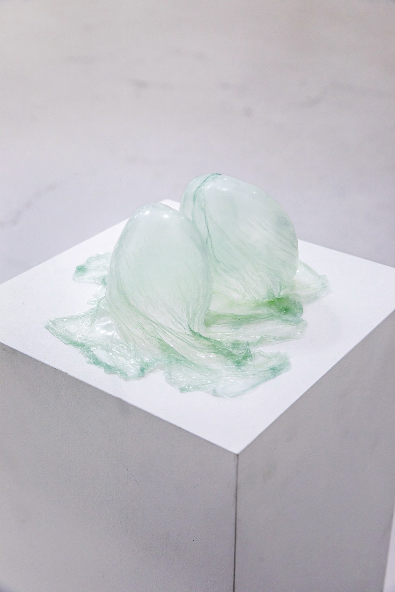 still life potato pair, 2025
Collagen, potatoes, 10" x 10" x 4"
Site specific installation at Hesse Flatow East, NY