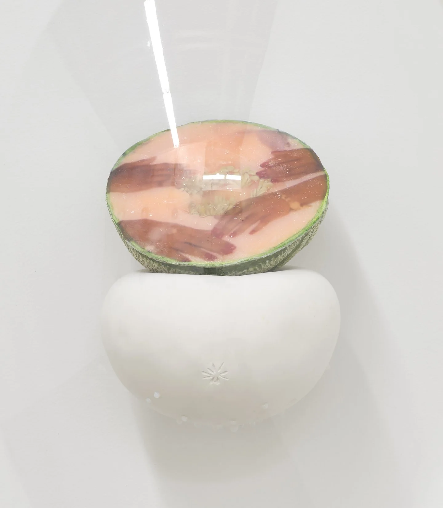 Keeper Series, 2021, Series of 6 installed in "Melon Skin", Materials: Found photograph, melon, collagen, glass beads, plaster, plexiglass, resin, hardware, 29" x 20" x 8 "