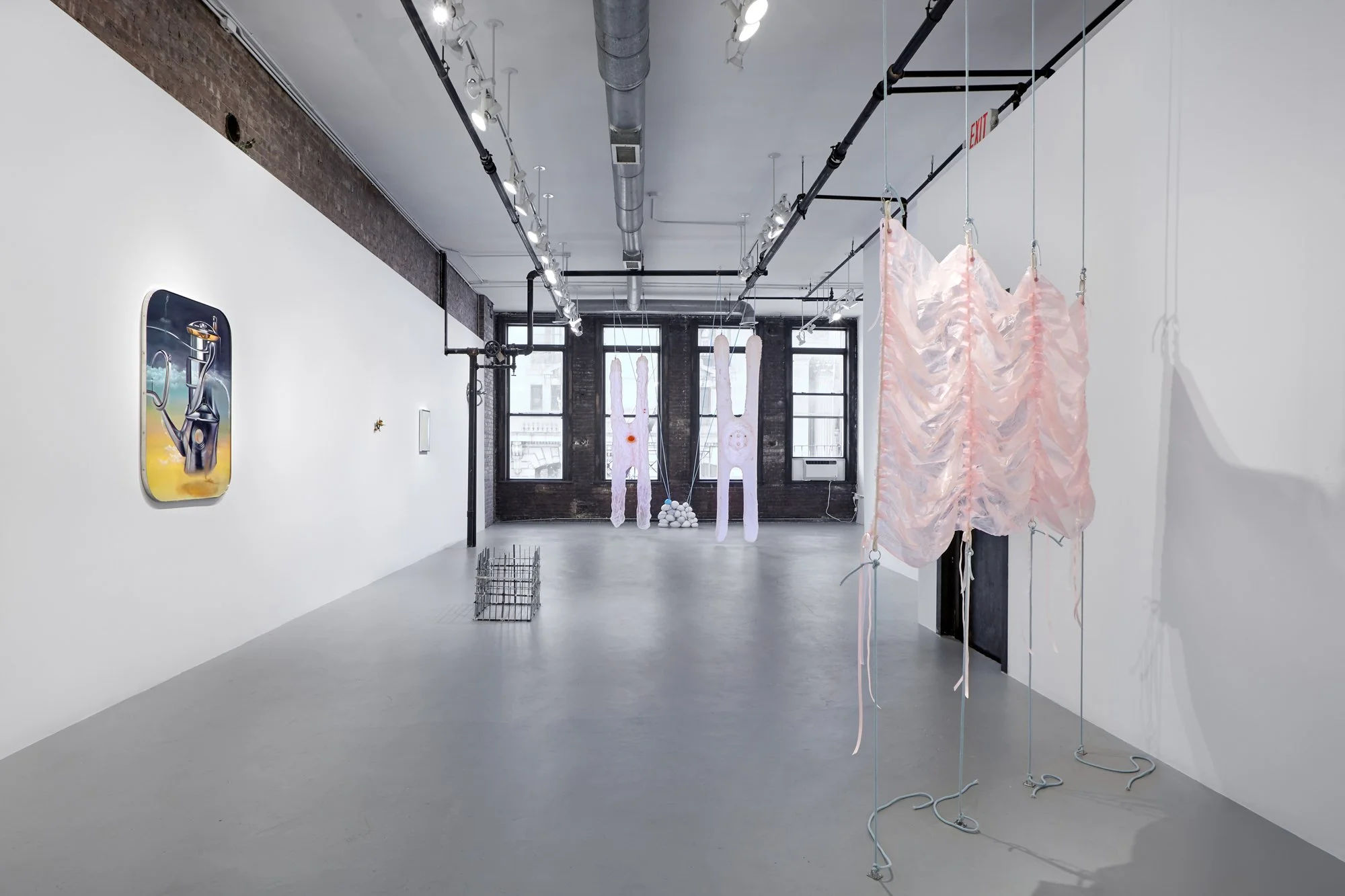 Pinkie (study), 2022