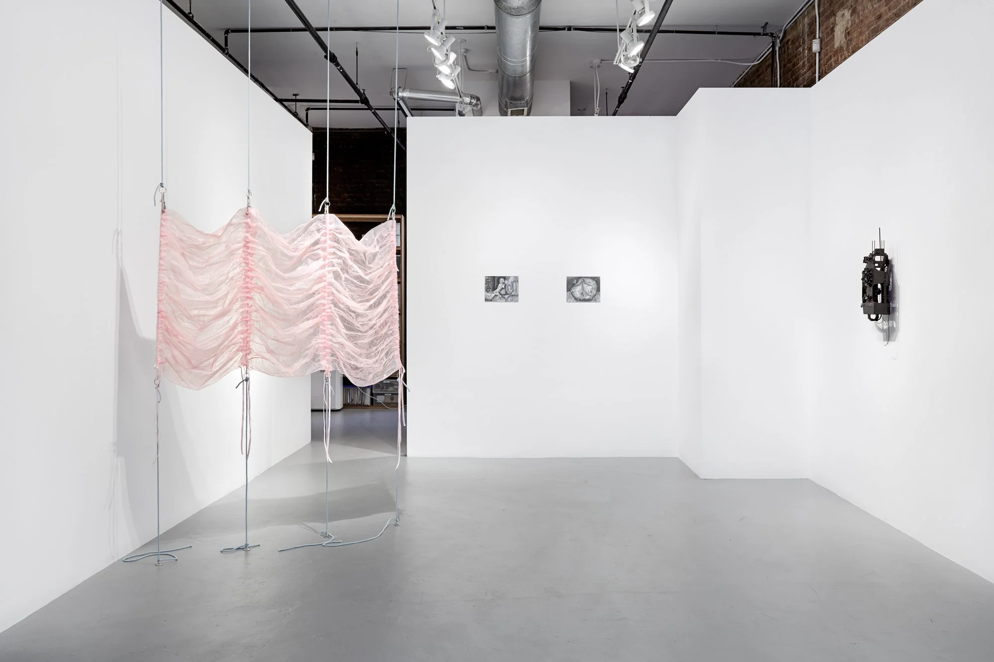 Pinkie (study), 2022