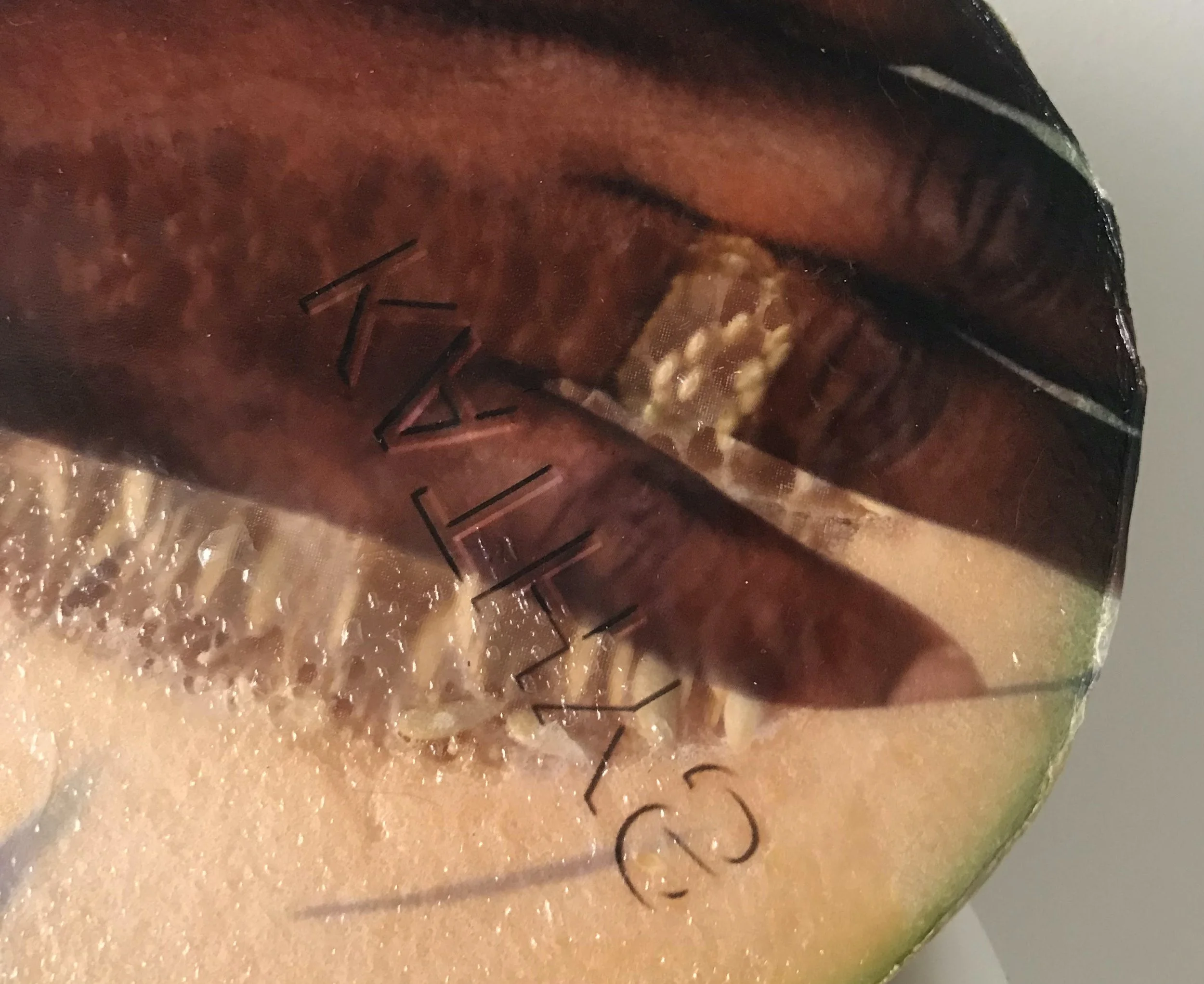 Keeper (detail), 2021, Materials: Found photograph, melon, collagen, glass beads, plaster, plexiglass, resin, hardware, 29" x 20" x 8 "