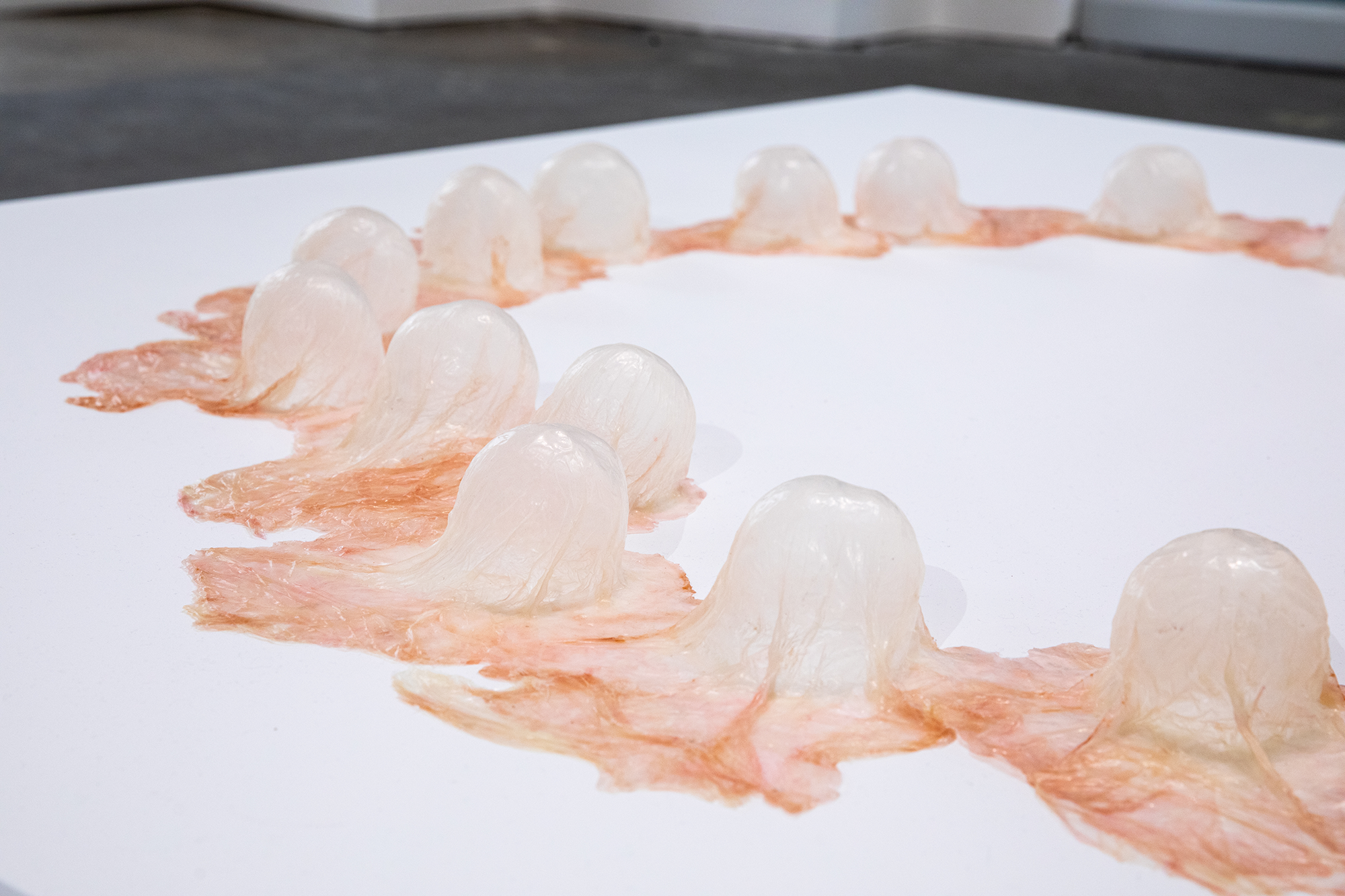 Puberty on Pearblossom, 2024