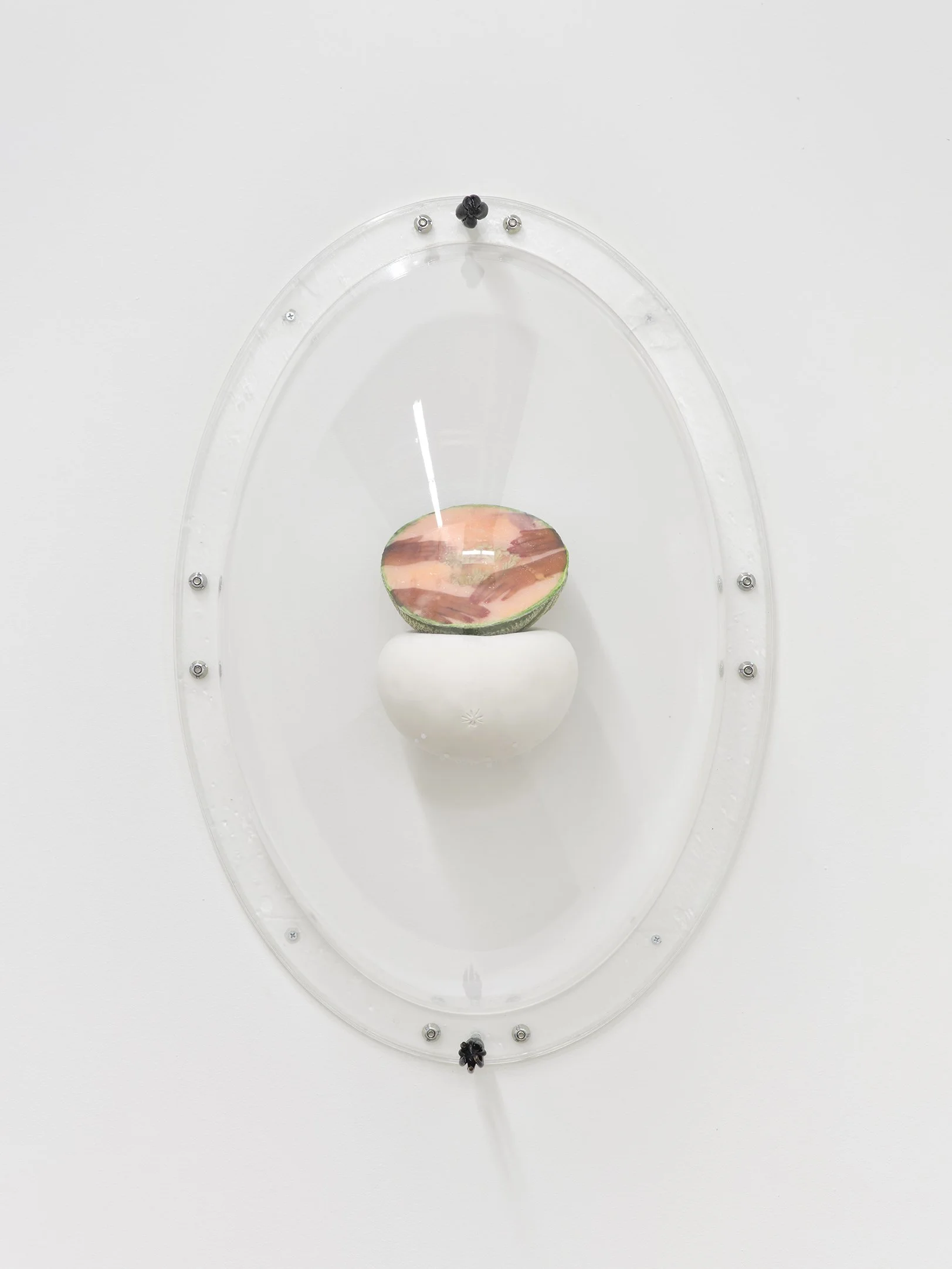 Keeper Series, 2021, Series of 6 installed in "Melon Skin", Materials: Found photograph, melon, collagen, glass beads, plaster, plexiglass, resin, hardware, 29" x 20" x 8 "