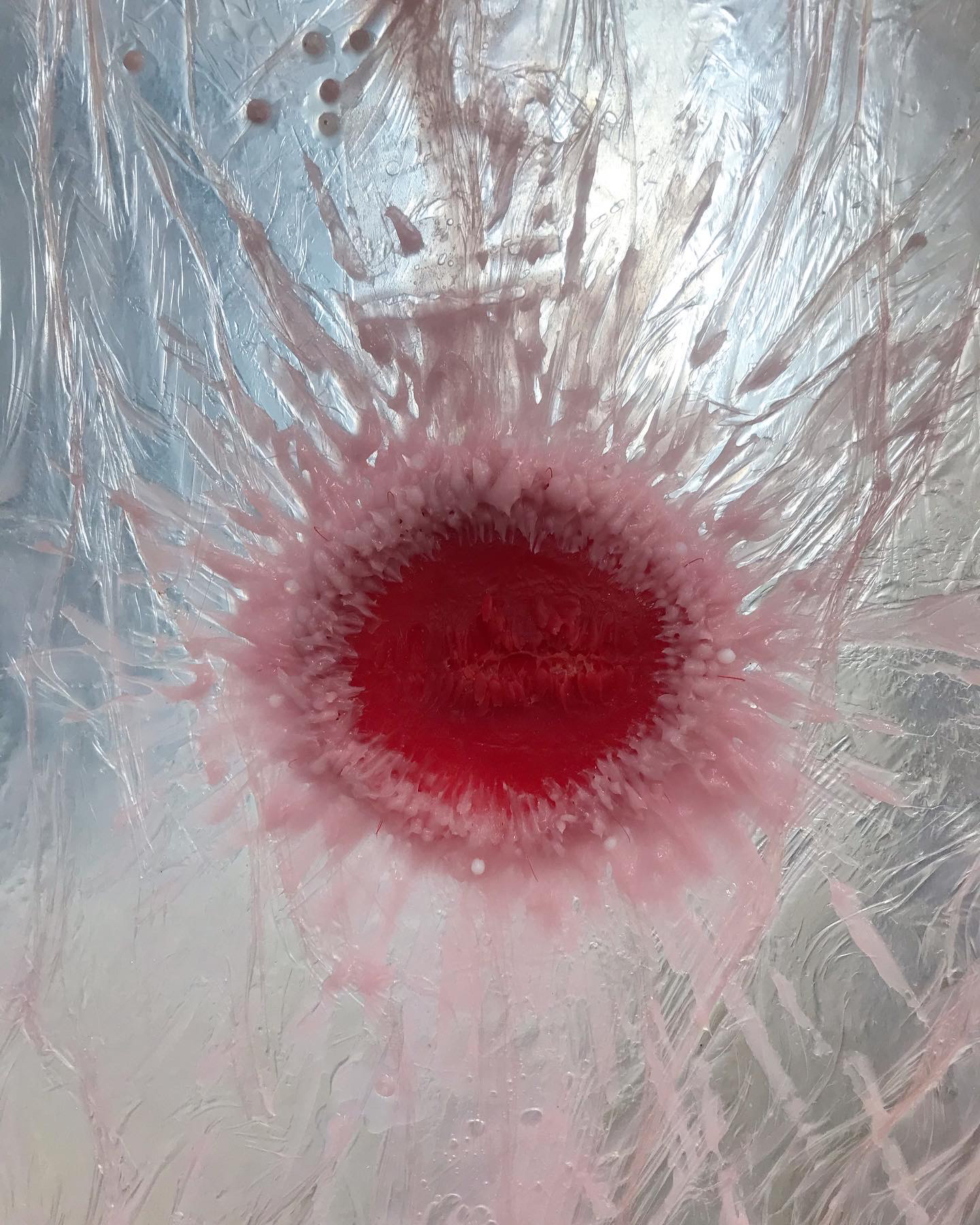 Strawberry Legs II (detail), Augurhythms (2022)