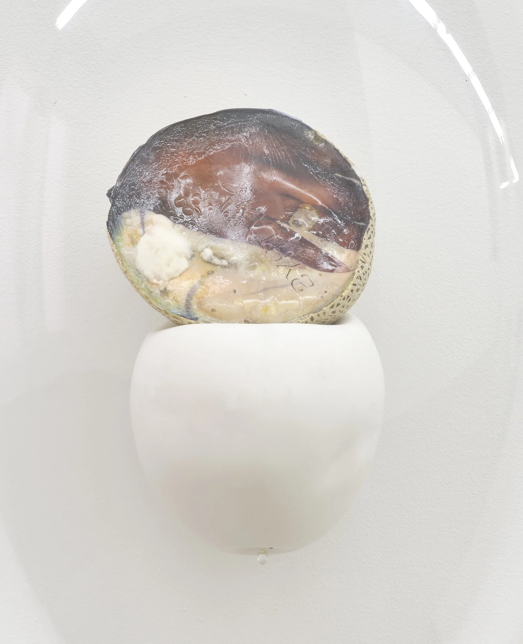 Keeper Series, 2021, Series of 6 installed in "Melon Skin", Materials: Found photograph, melon, collagen, glass beads, plaster, plexiglass, resin, hardware, 29" x 20" x 8 "