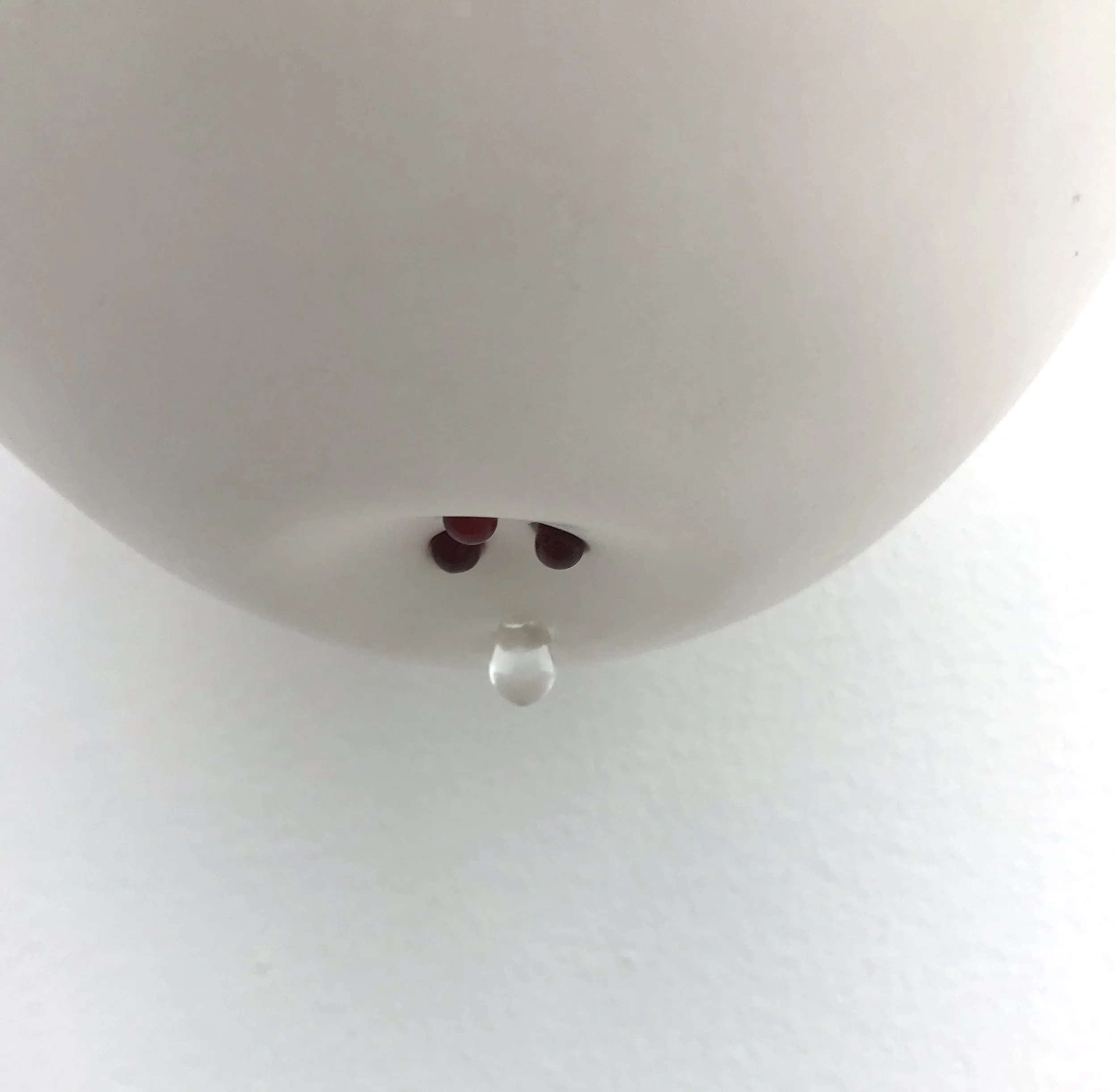 Keeper (detail), 2021, Materials: Found photograph, melon, collagen, glass beads, plaster, plexiglass, resin, hardware, 29" x 20" x 8 "