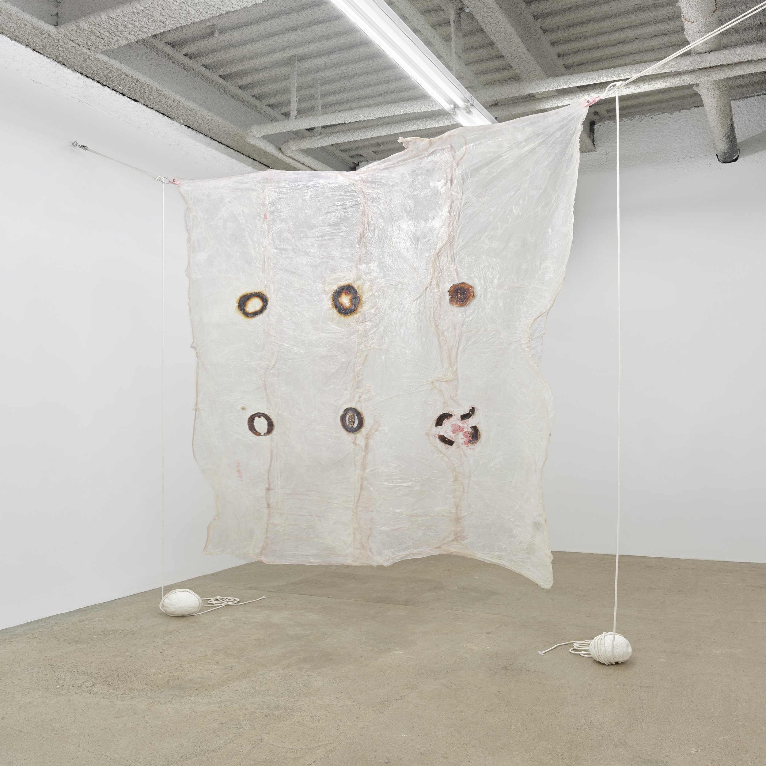 Untitled, 2021, Materials: Collagen dyed with Gatorade, glass beads, plastic doll heels, toy jellyfish, horseshoe crab, glitter, sprinkles, dried melon, agar agar, glycerin, baby powder,
clear rubber bands, scrotum clamps, cotton rope, cast plaster m