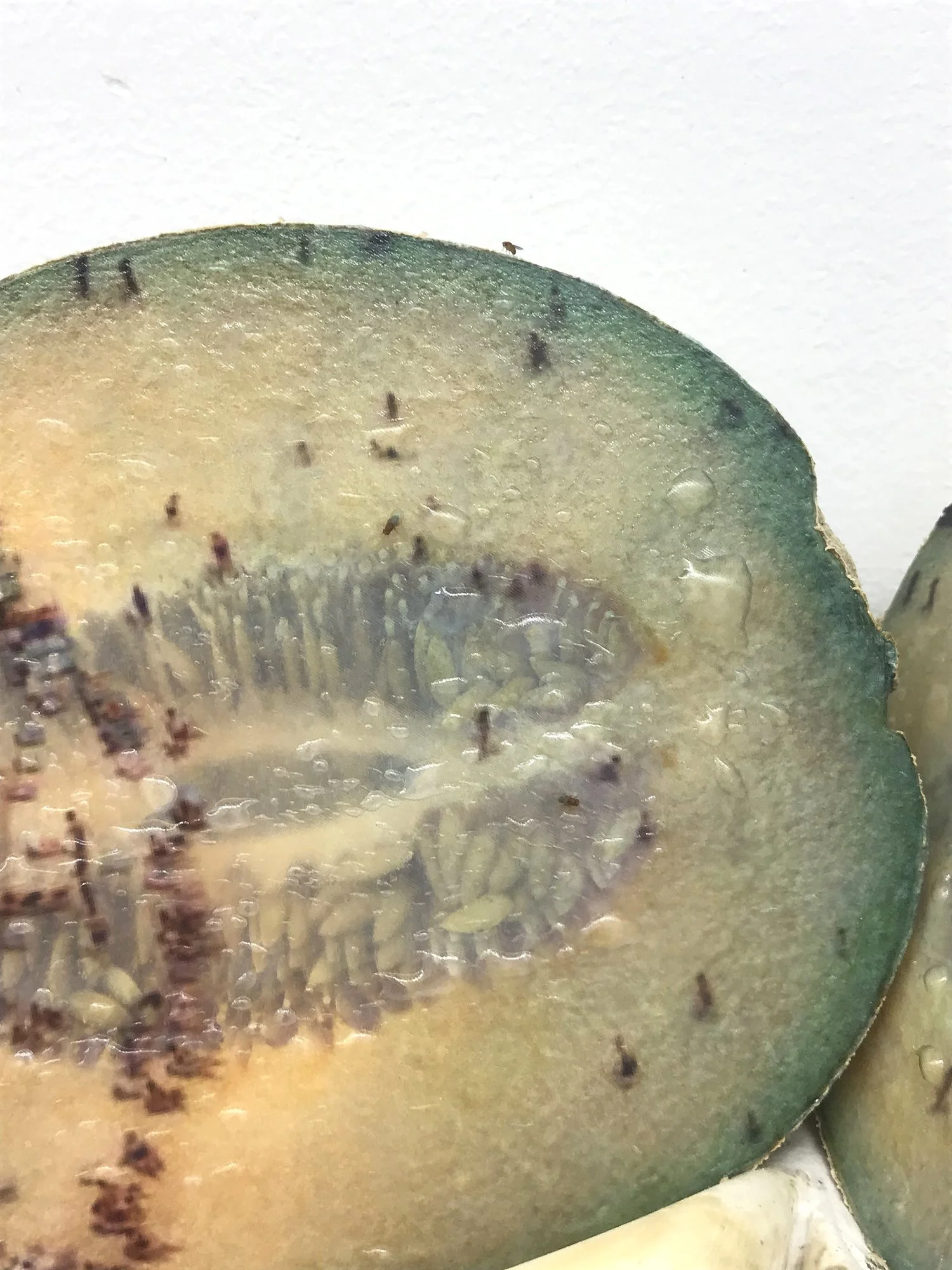 Keeper (detail), 2021