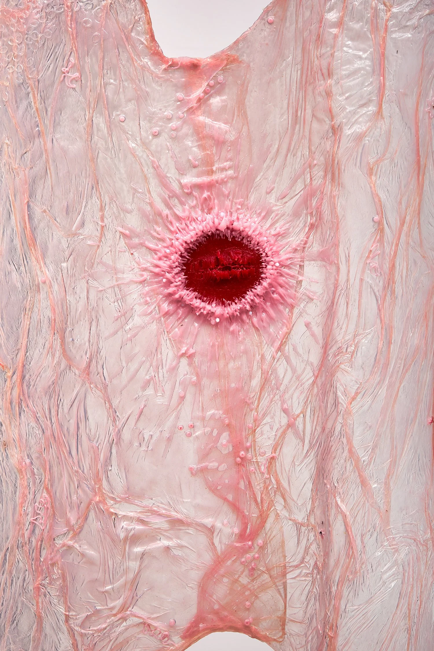 Strawberry Legs II (detail), Viscera (2022)