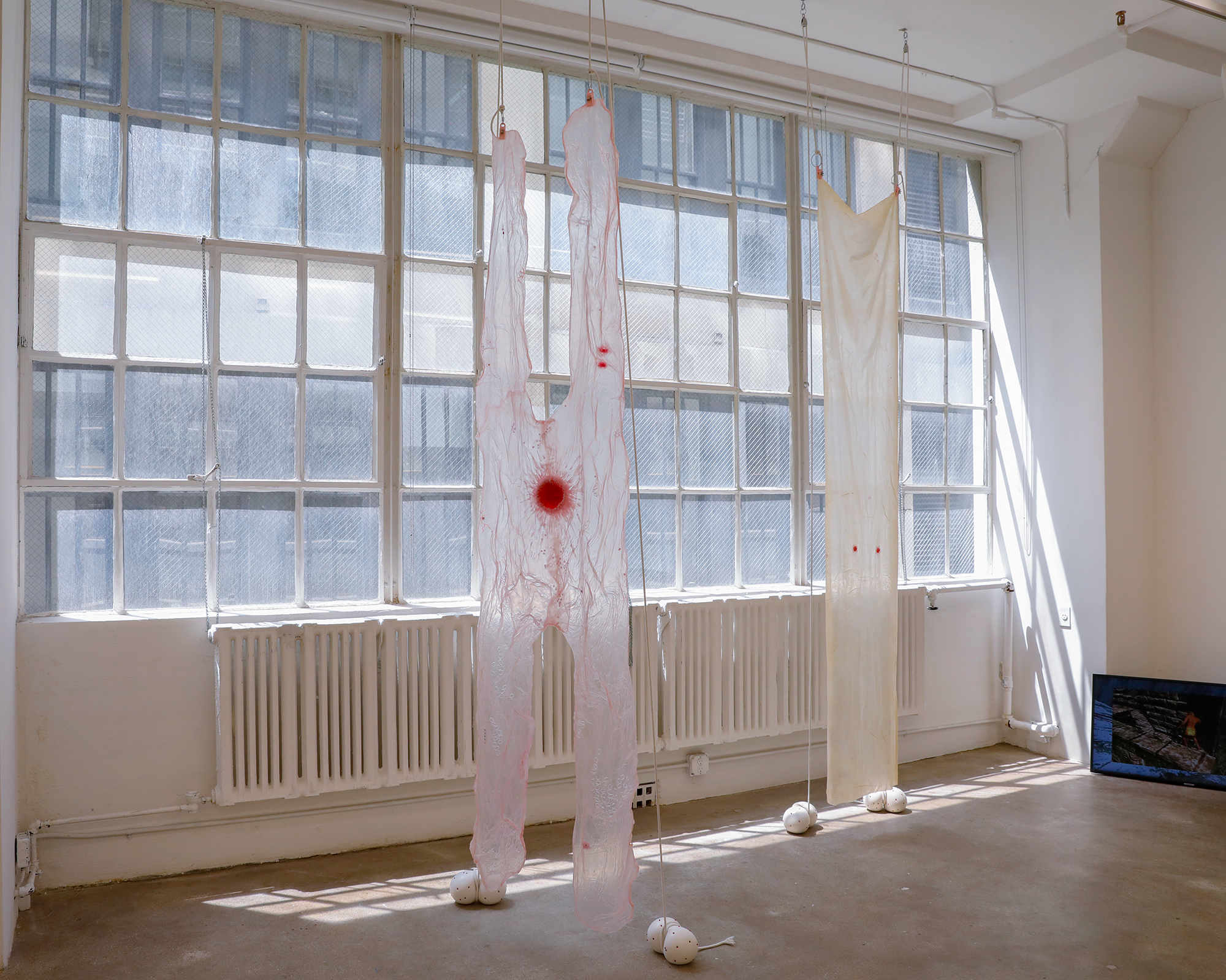 Strawberry Legs I & II, Augurhythms (2022)