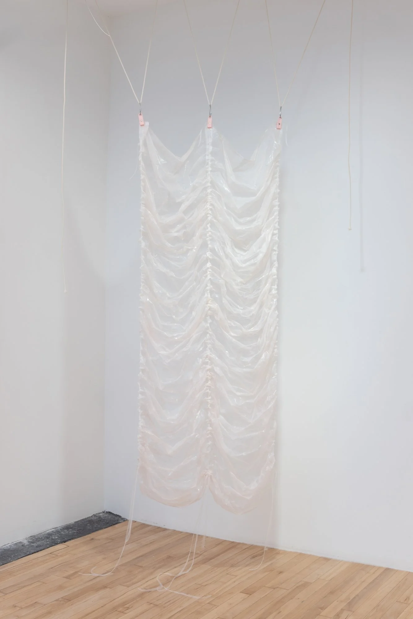 Pinkie (study), 2025