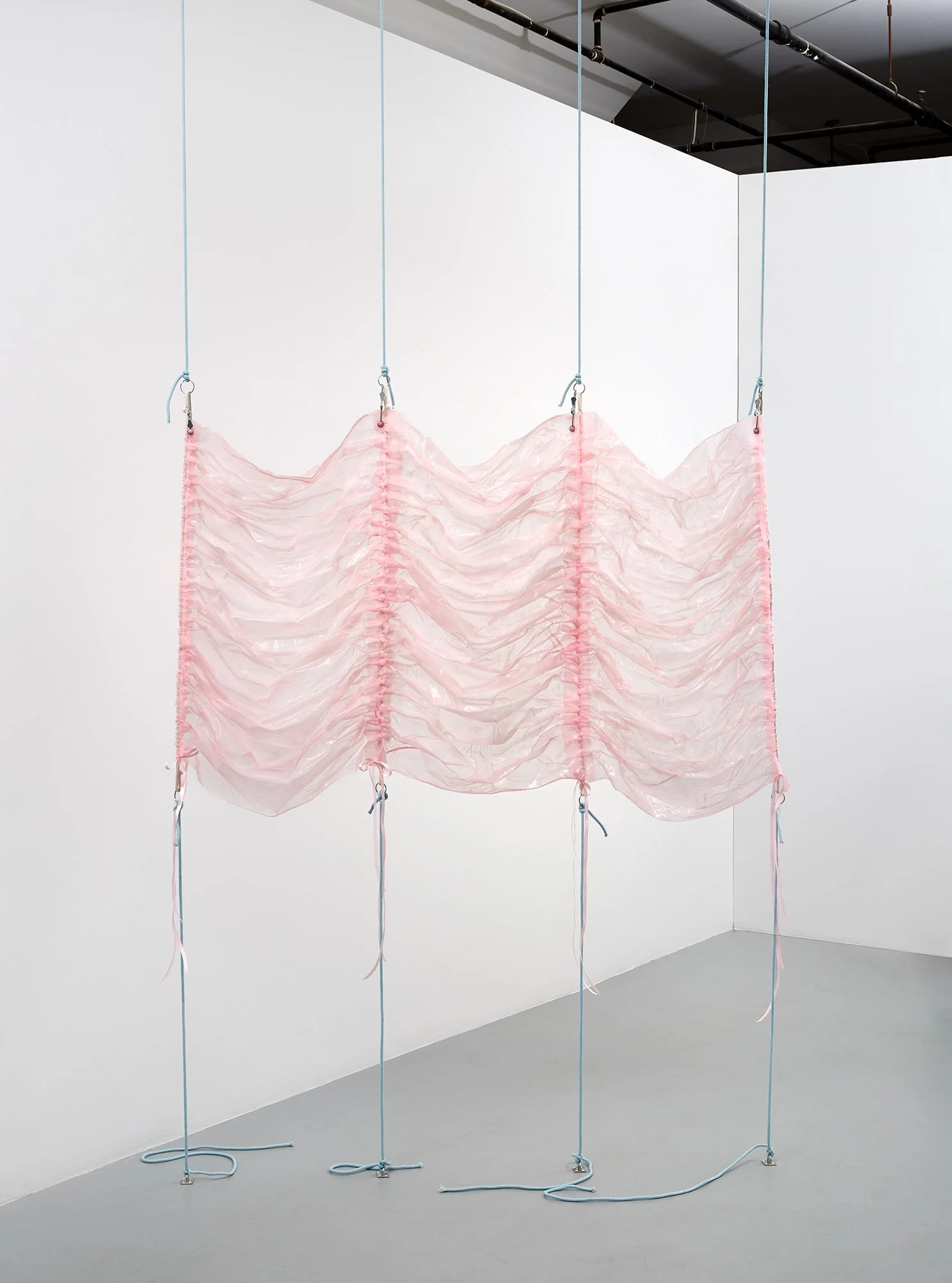 Pinkie (study), 2022. Materials: collagen, silicone, ribbon, rope. 54" x 36". Installed in "Viscera" at Simone Subal gallery in NYC. 