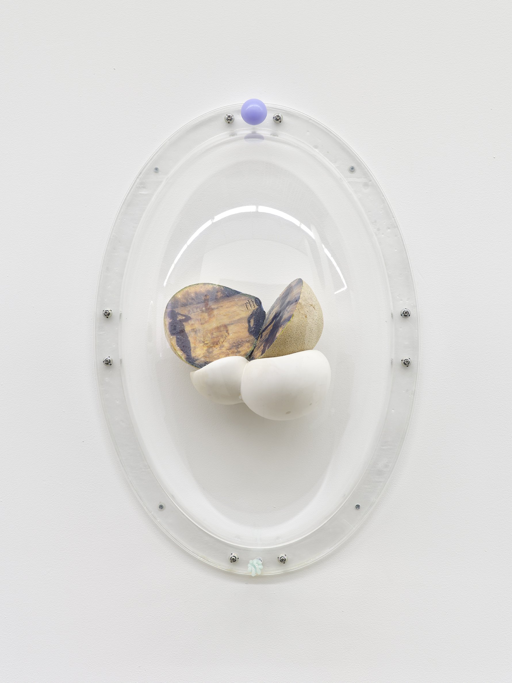Keeper Series, 2021, Series of 6 installed in "Melon Skin", Materials: Found photograph, melon, collagen, glass beads, plaster, plexiglass, resin, hardware, 29" x 20" x 8 "