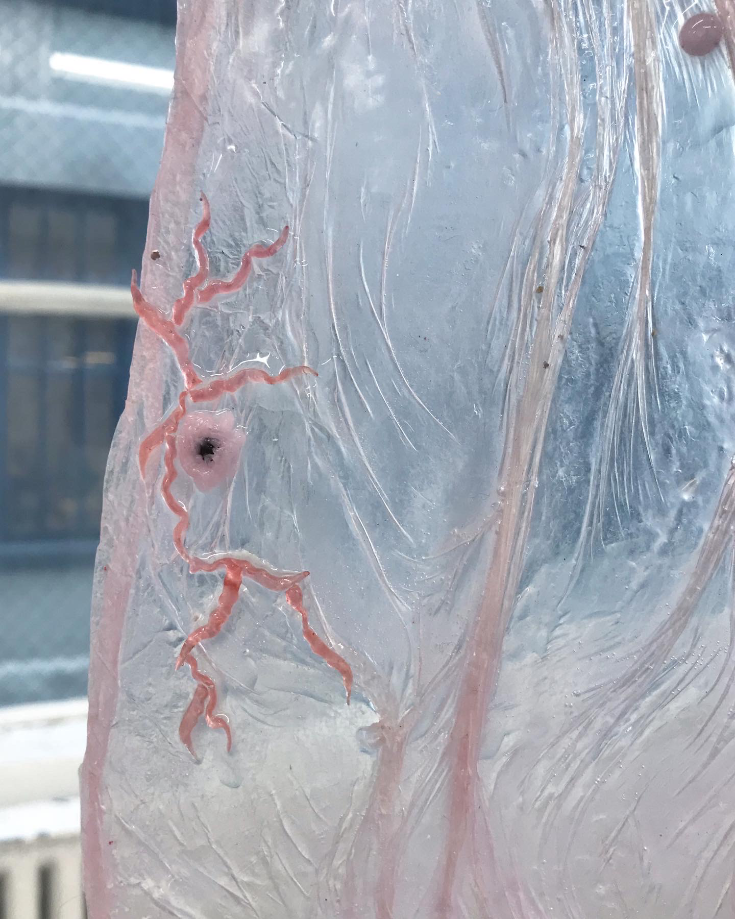 Strawberry Legs II (detail), Augurhythms (2022)