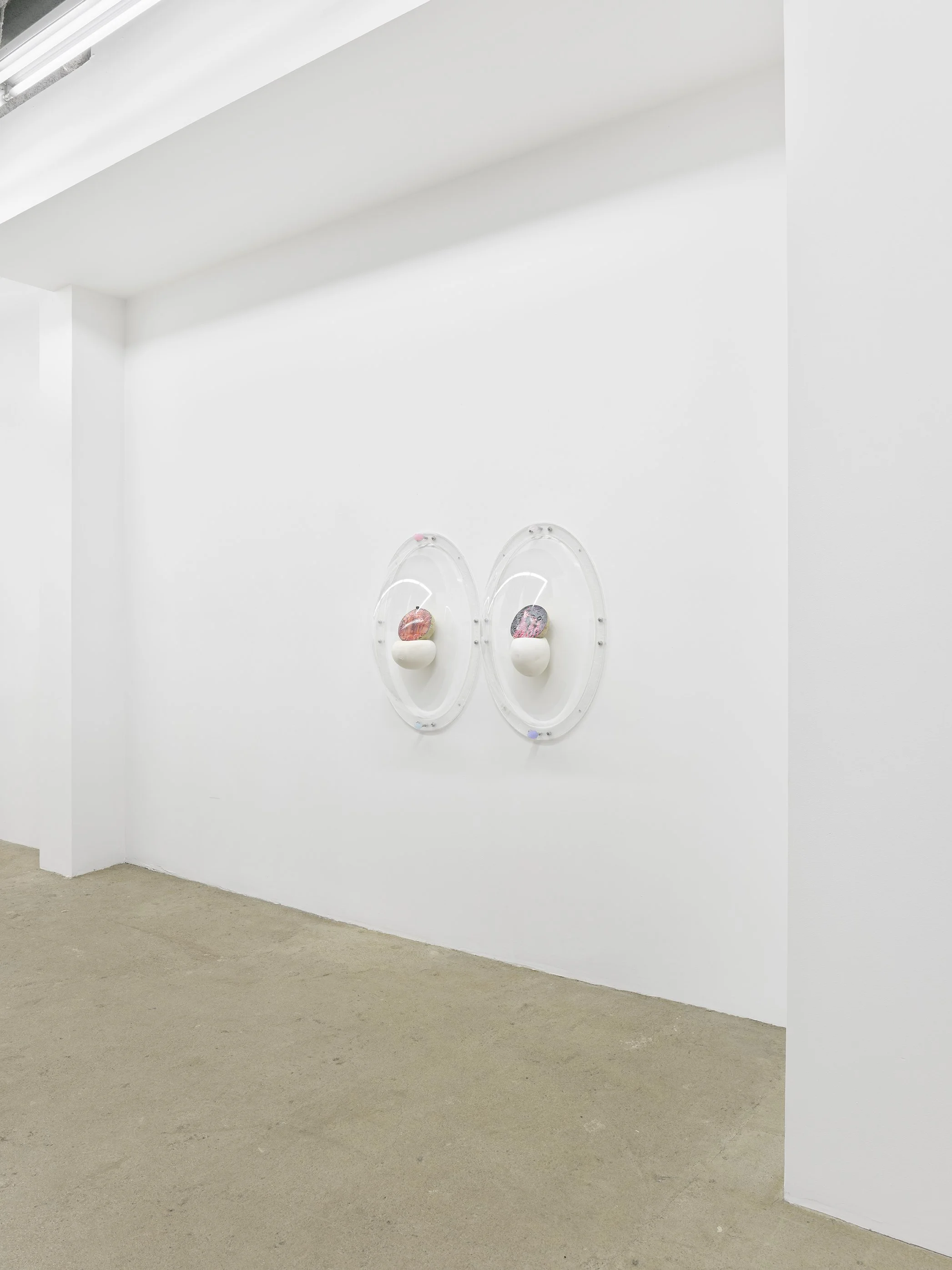 Keeper Series, 2021, Series of 6 installed in "Melon Skin", Materials: Found photograph, melon, collagen, glass beads, plaster, plexiglass, resin, hardware, 29" x 20" x 8 "