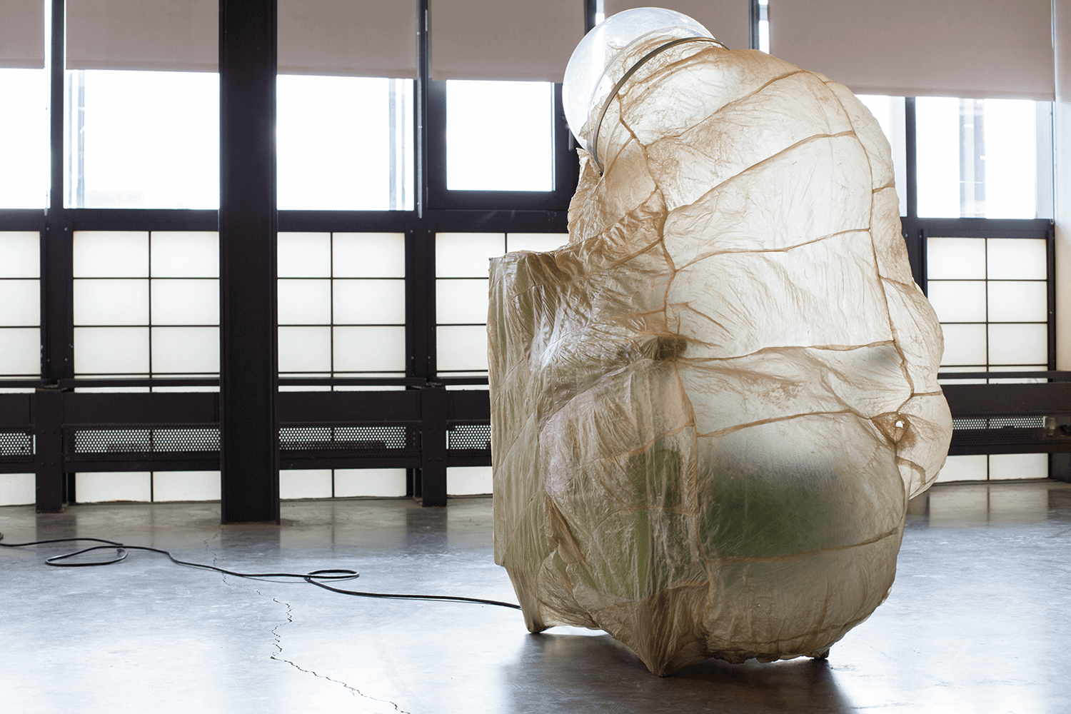 PARA, 2019. Sow bladder, 1970’s salon dryer chair, lightbulb, 60” x 36” x 36” 