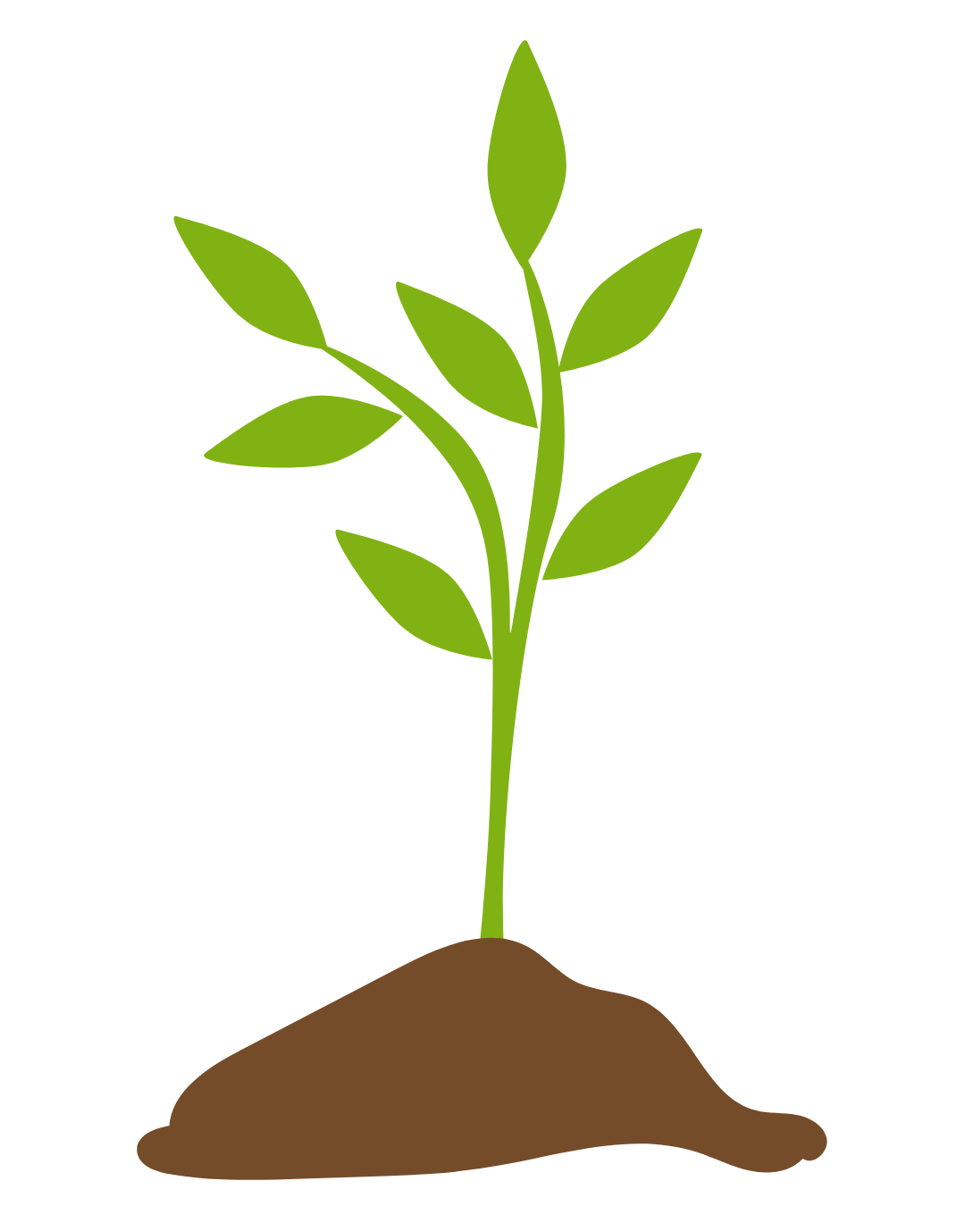 Illustration of a young green plant with leaves growing from a small mound of brown soil.