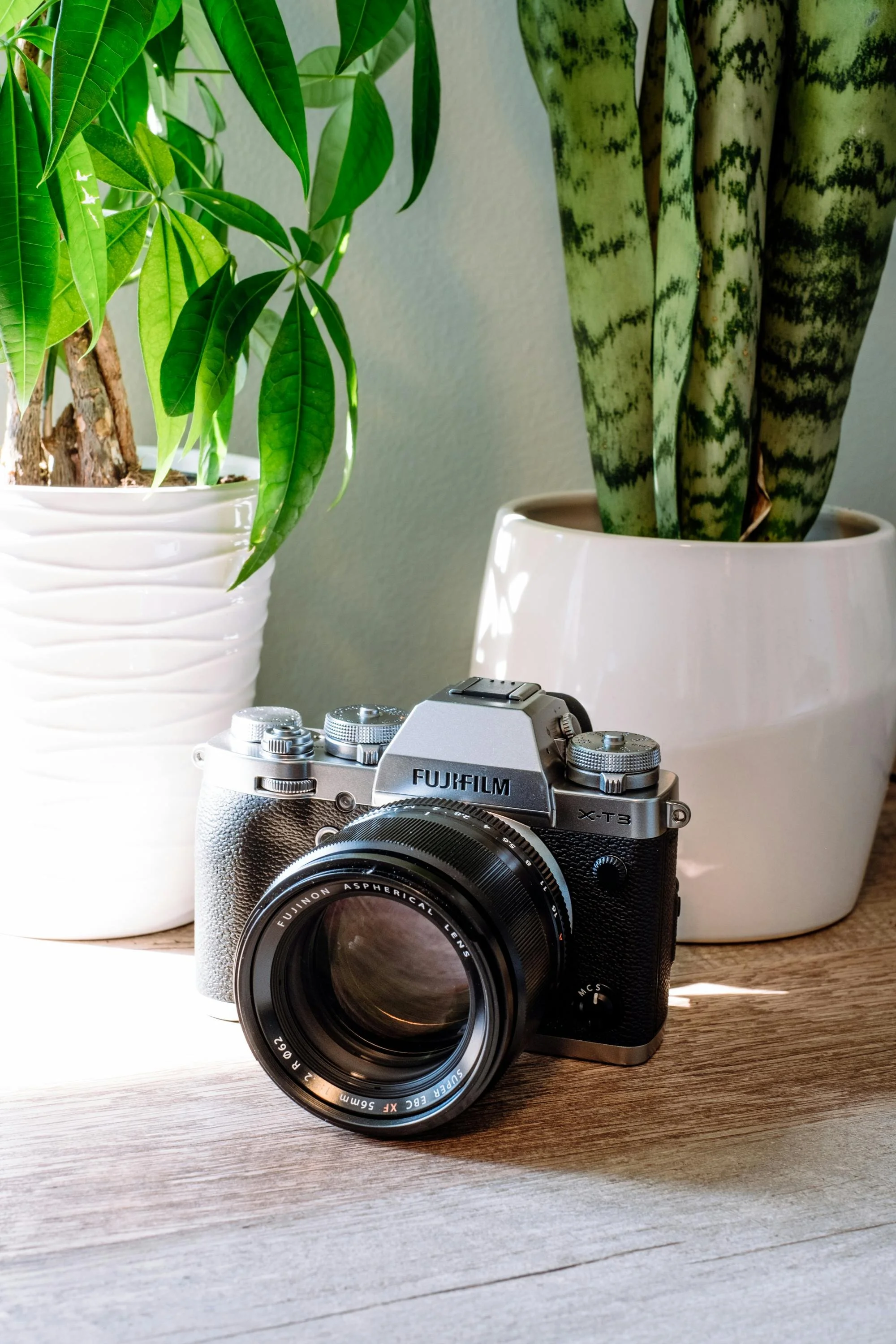 Fujifilm X-T3 mirrorless camera with a 50mm lens on a wooden surface, flanked by two white ceramic pots containing green houseplants, one with broad striped leaves and the other with elongated leaves.
