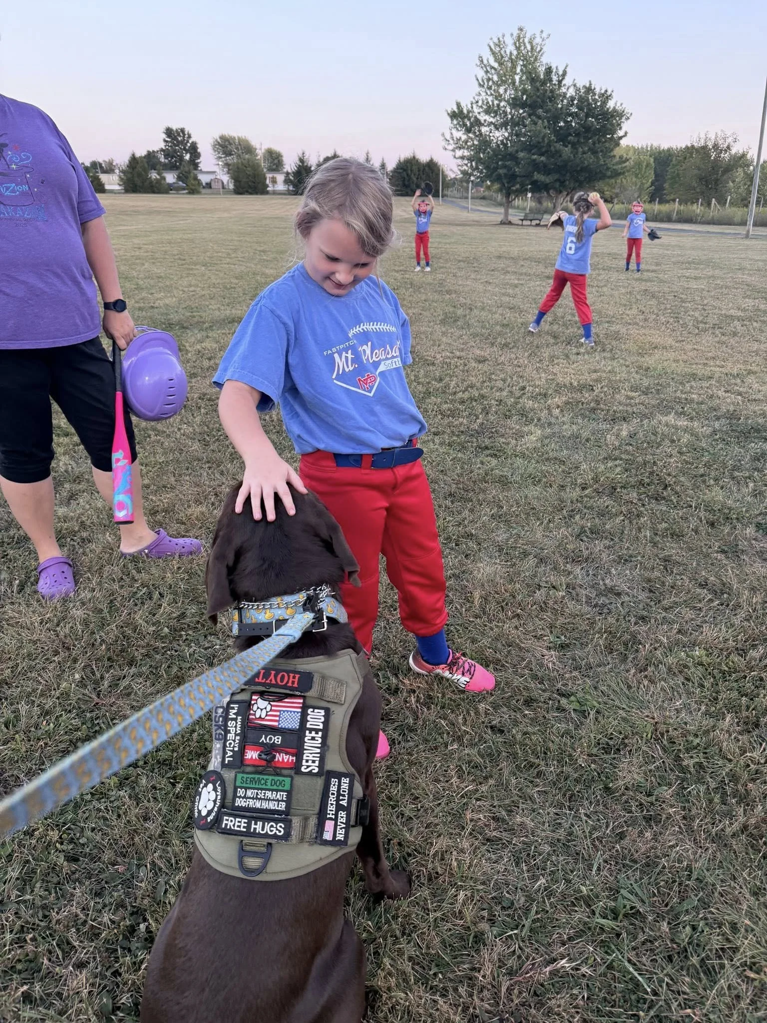mount pleasant softball