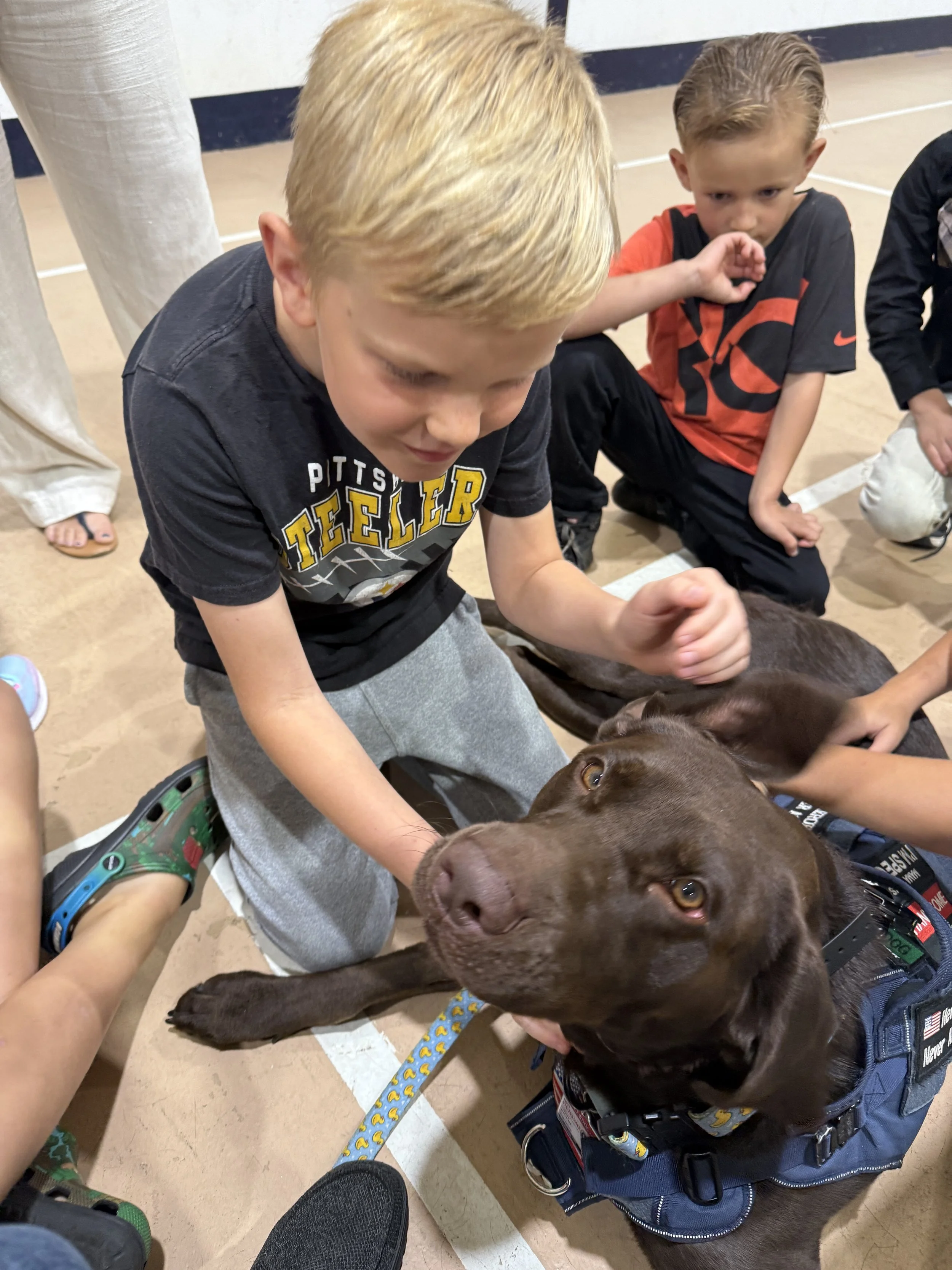 bible baptist school route 217 latrobe/derry
