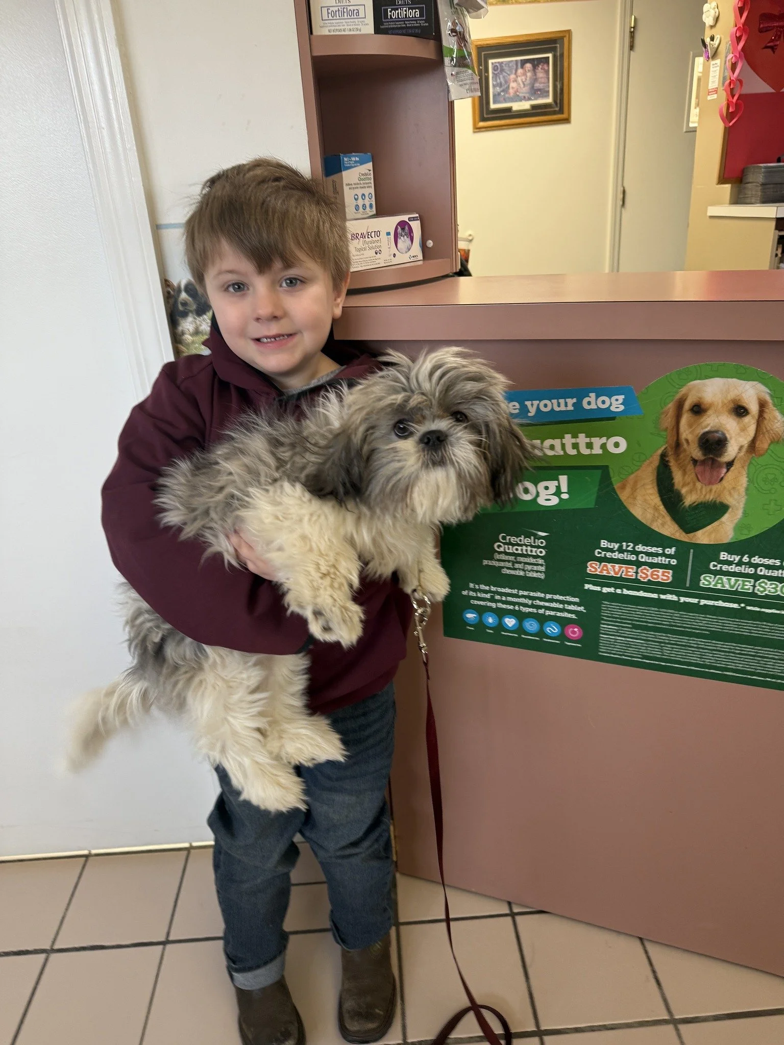 loyalhanna vet clinic
