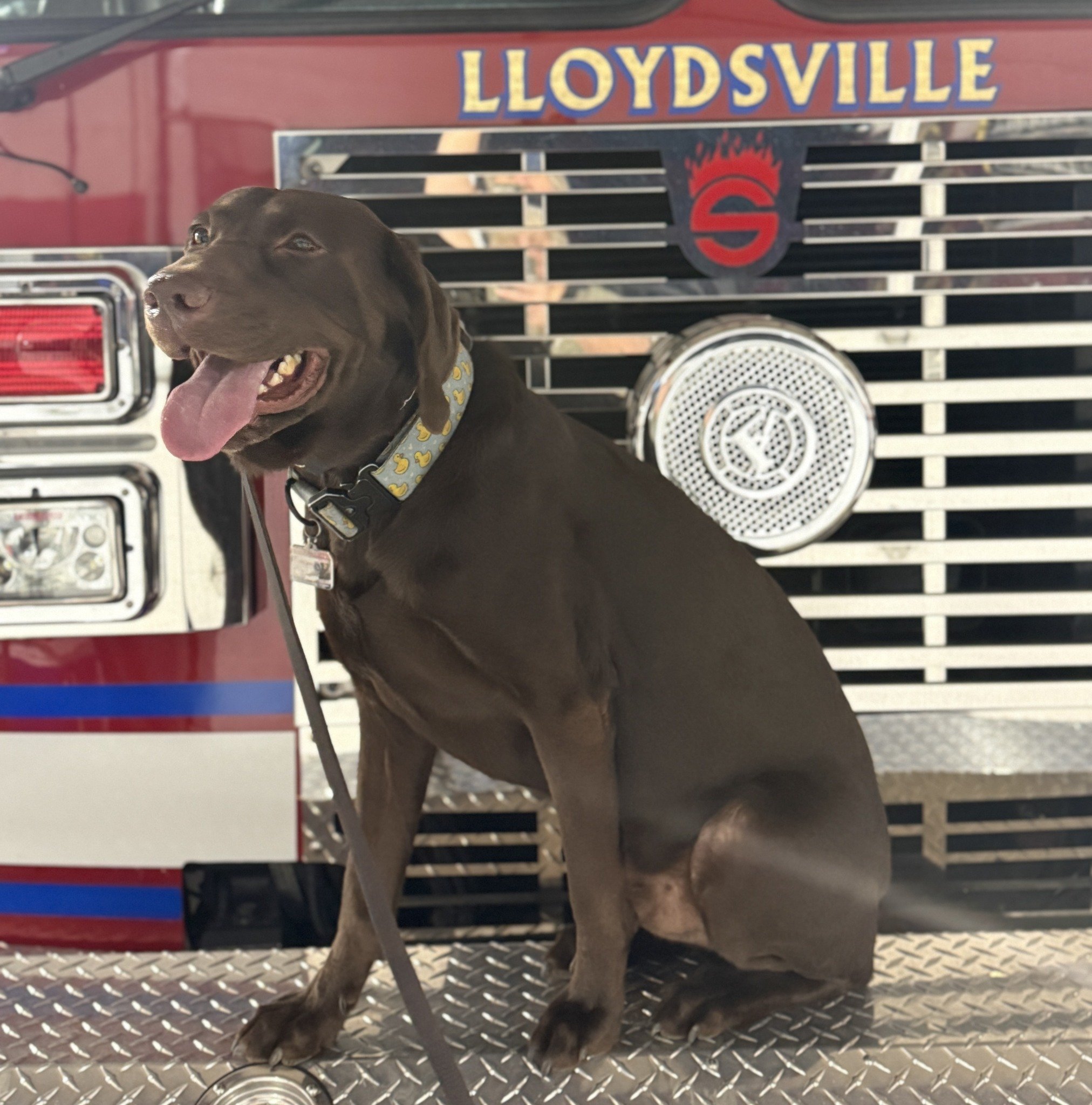lloydsville vfd