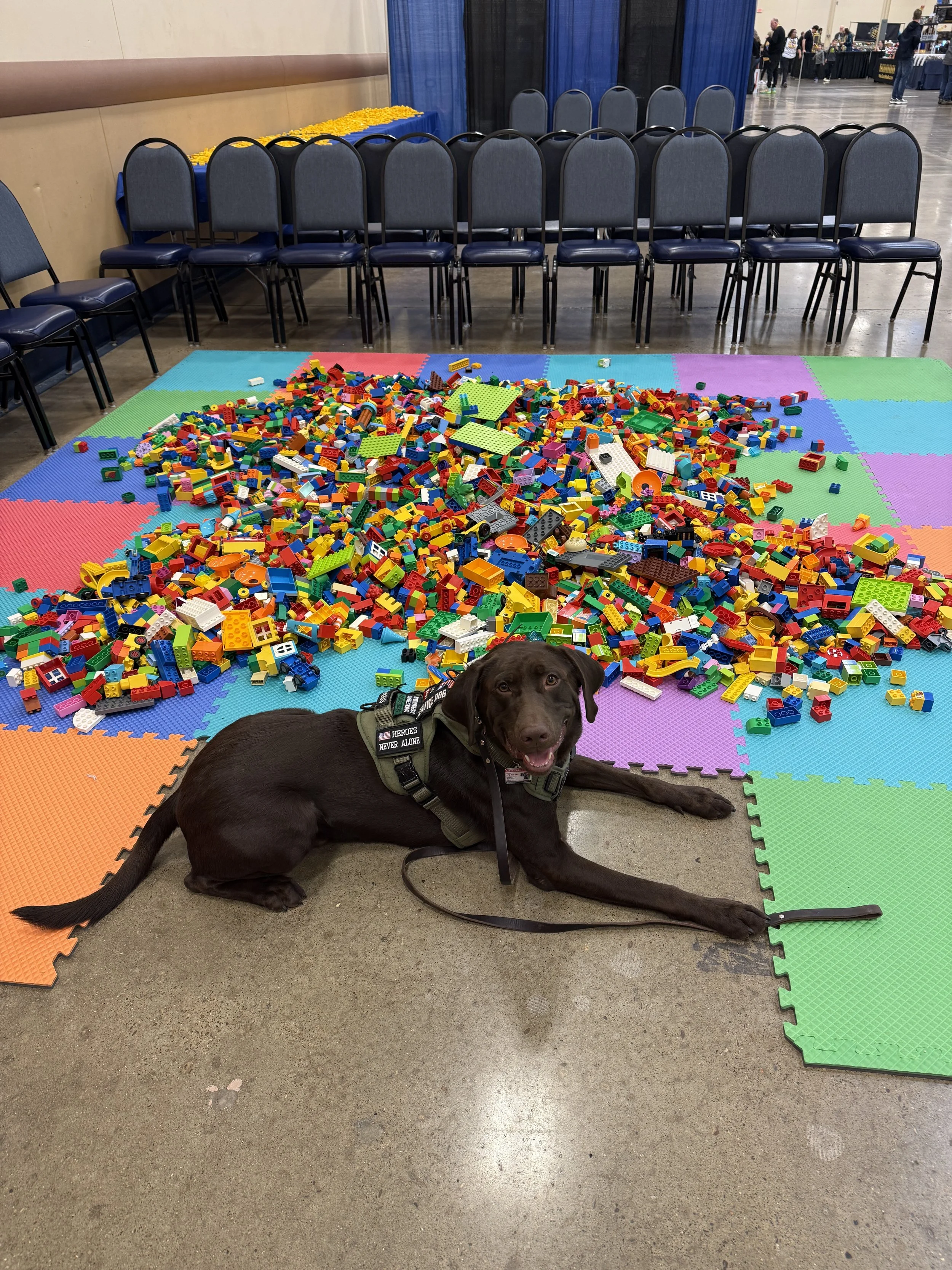 lego master event he as a volunteer

