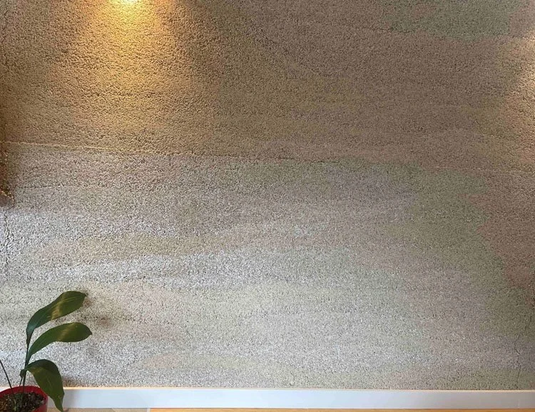 Empty beige wall with a small green houseplant in the bottom left corner.