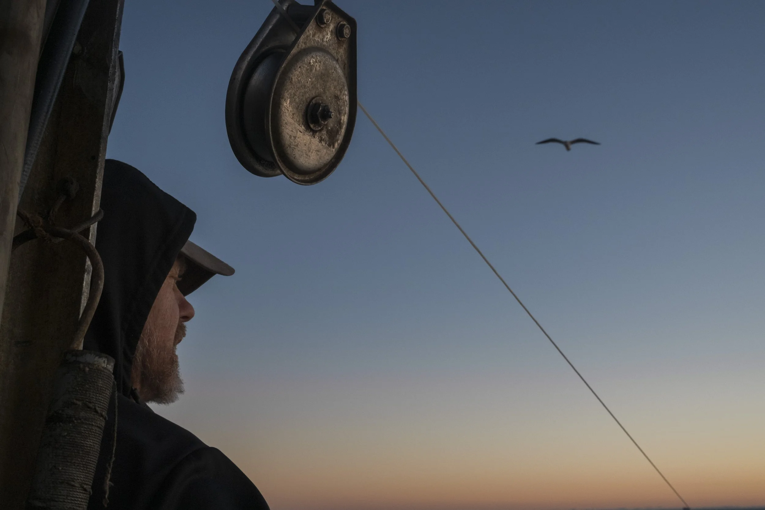 A person with a beard and black hoodie, looking to the side, next to a pulley system, with a clear sky at sunset or sunrise, and a bird flying in the distance.