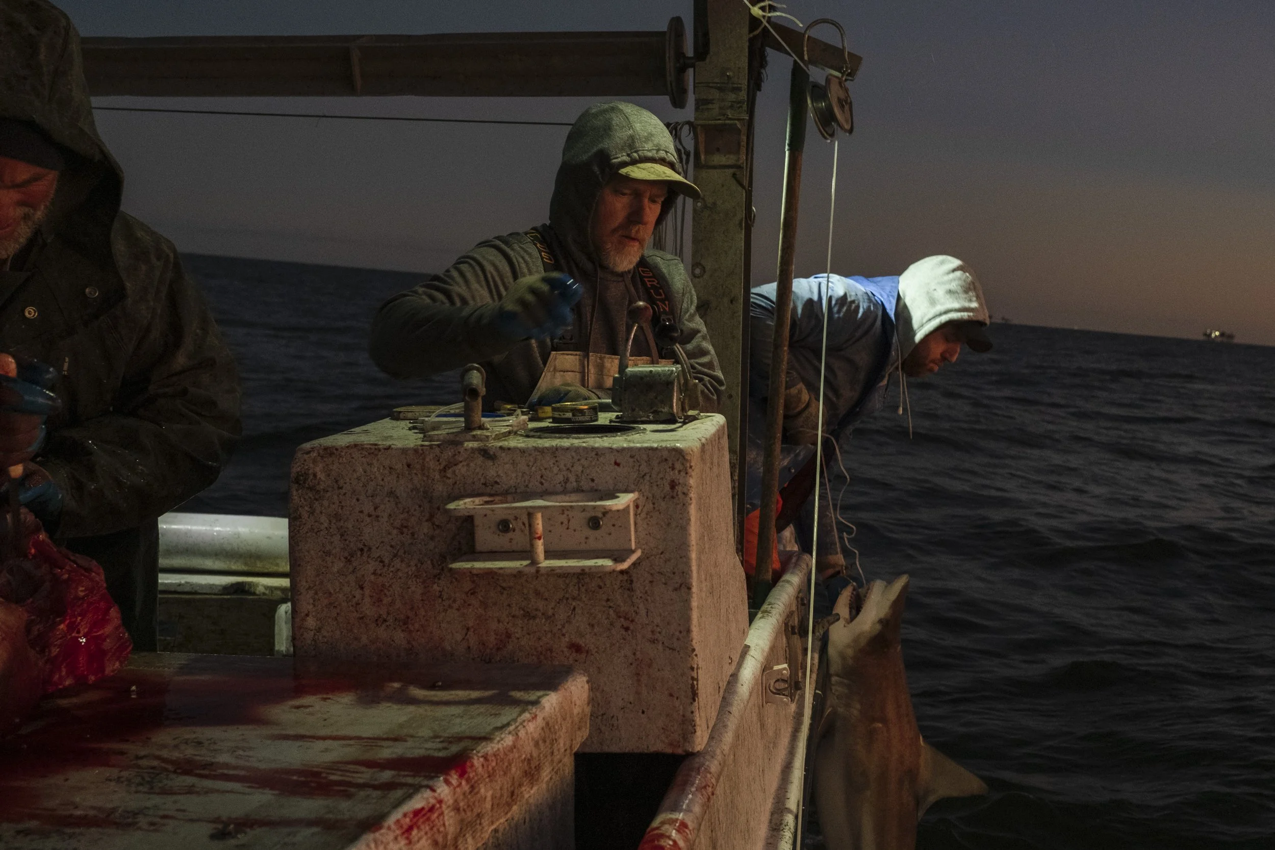 Two fishermen on a boat at night, handling a large fish caught from the sea.