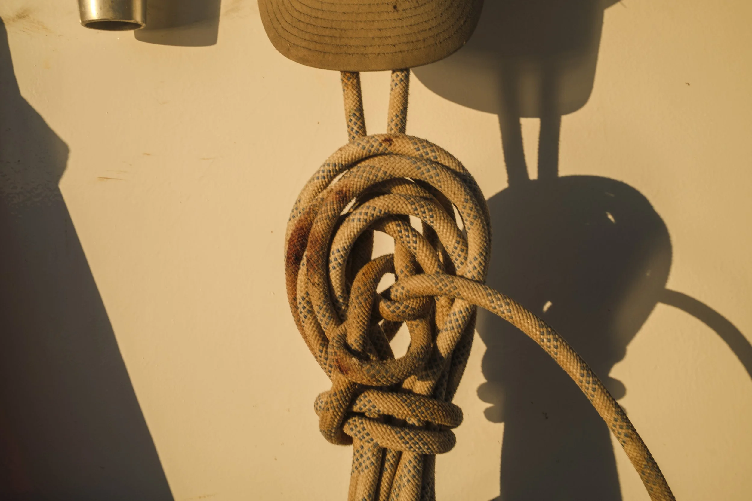 A beige rope tied in a knot hanging on a wall with a shadow cast on the wall.