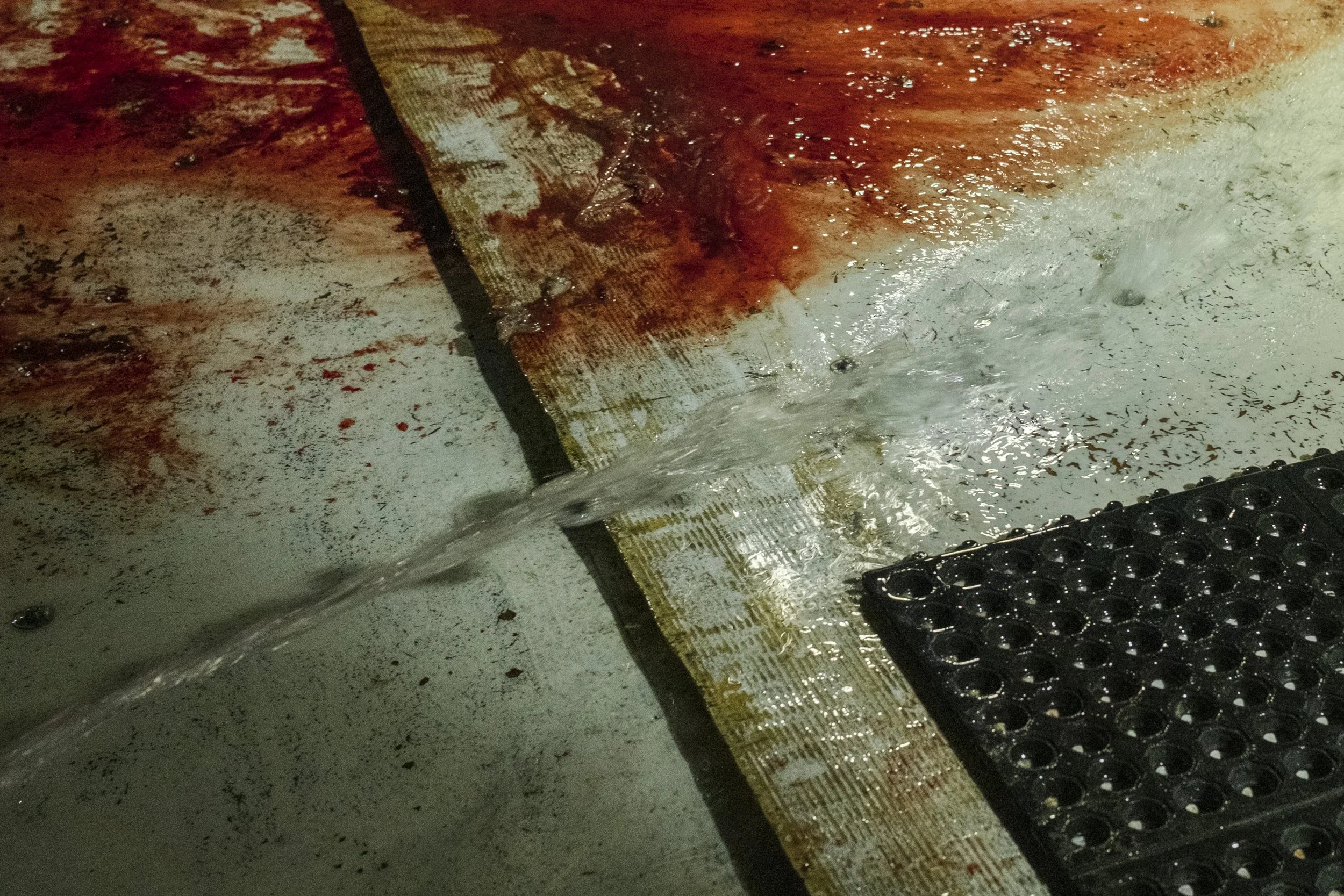 A close-up of blood and water on a concrete surface near a textured black mat.