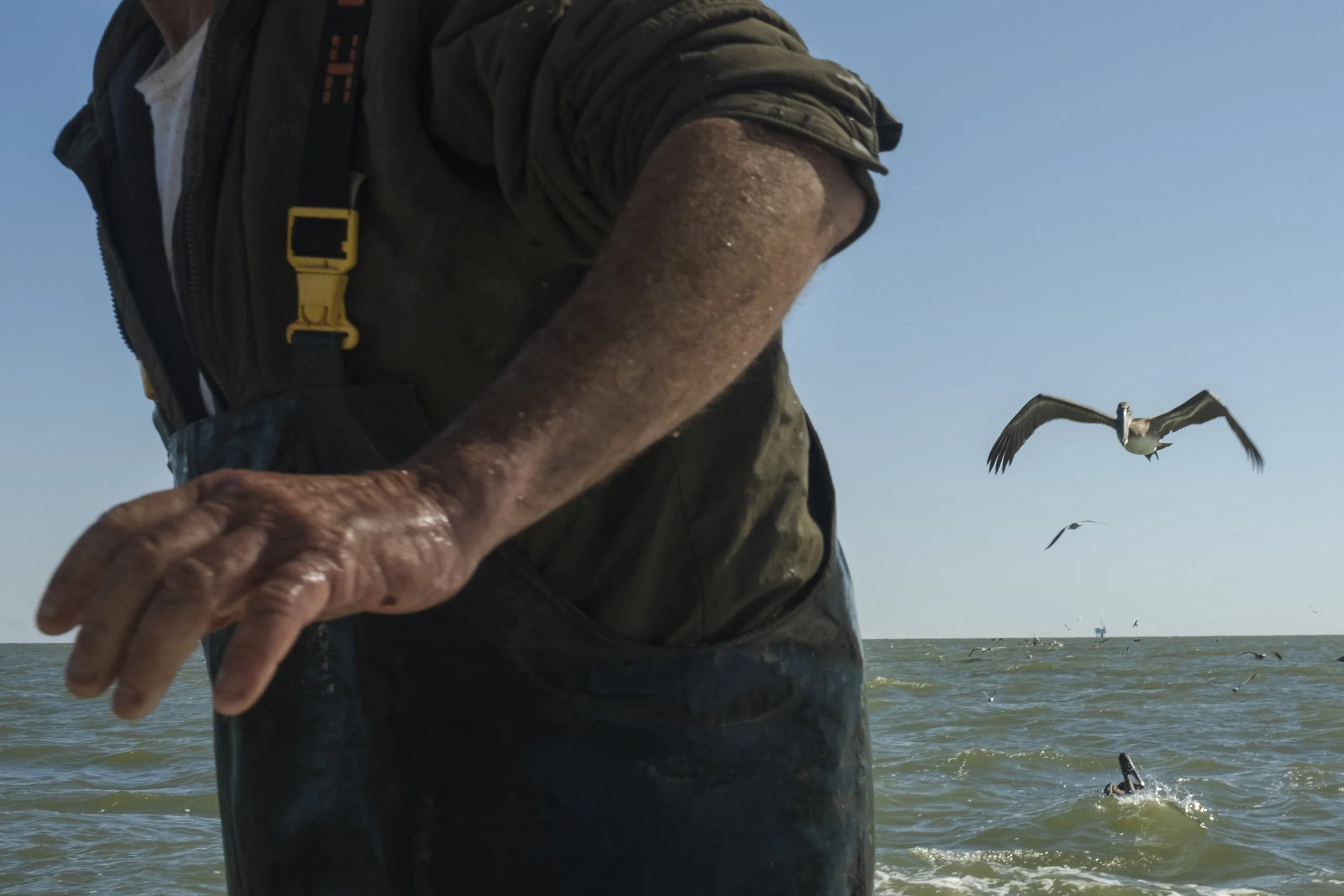 Close-up of an elderly person’s arm and hand, partially visible, wearing a waterproof jacket and waders, standing in the water with a seagull flying nearby over the sea.