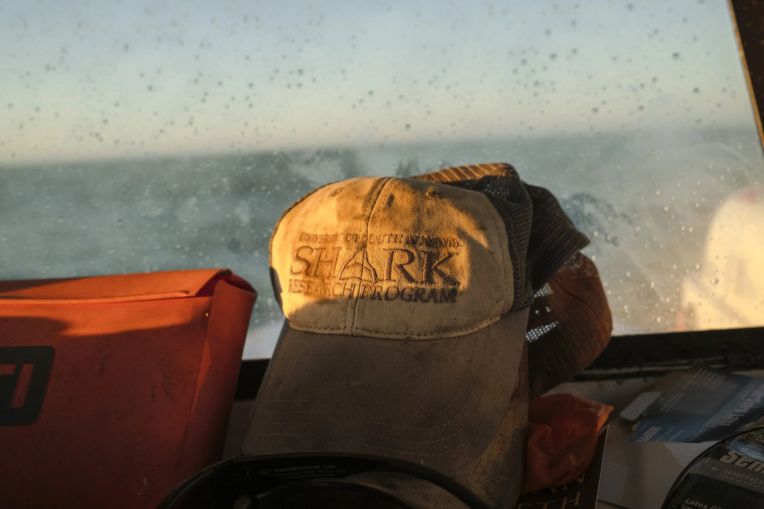 Close-up of a beige hat with a dark-colored brim, with the words 'SHARK RESEARCH PROGRAM' embroidered on the front, resting on a surface inside an airplane or vehicle, with a window showing rain and mist outside.