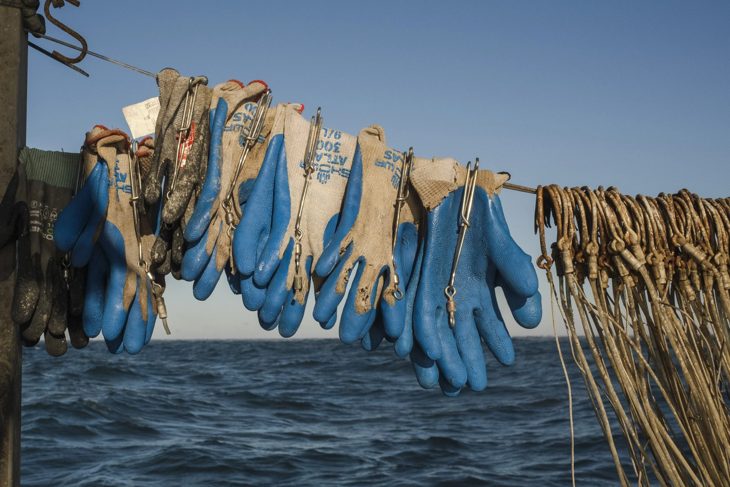 A row of blue and dark gray rubber gloves hanging on a line above the ocean, with a clear sky in the background.