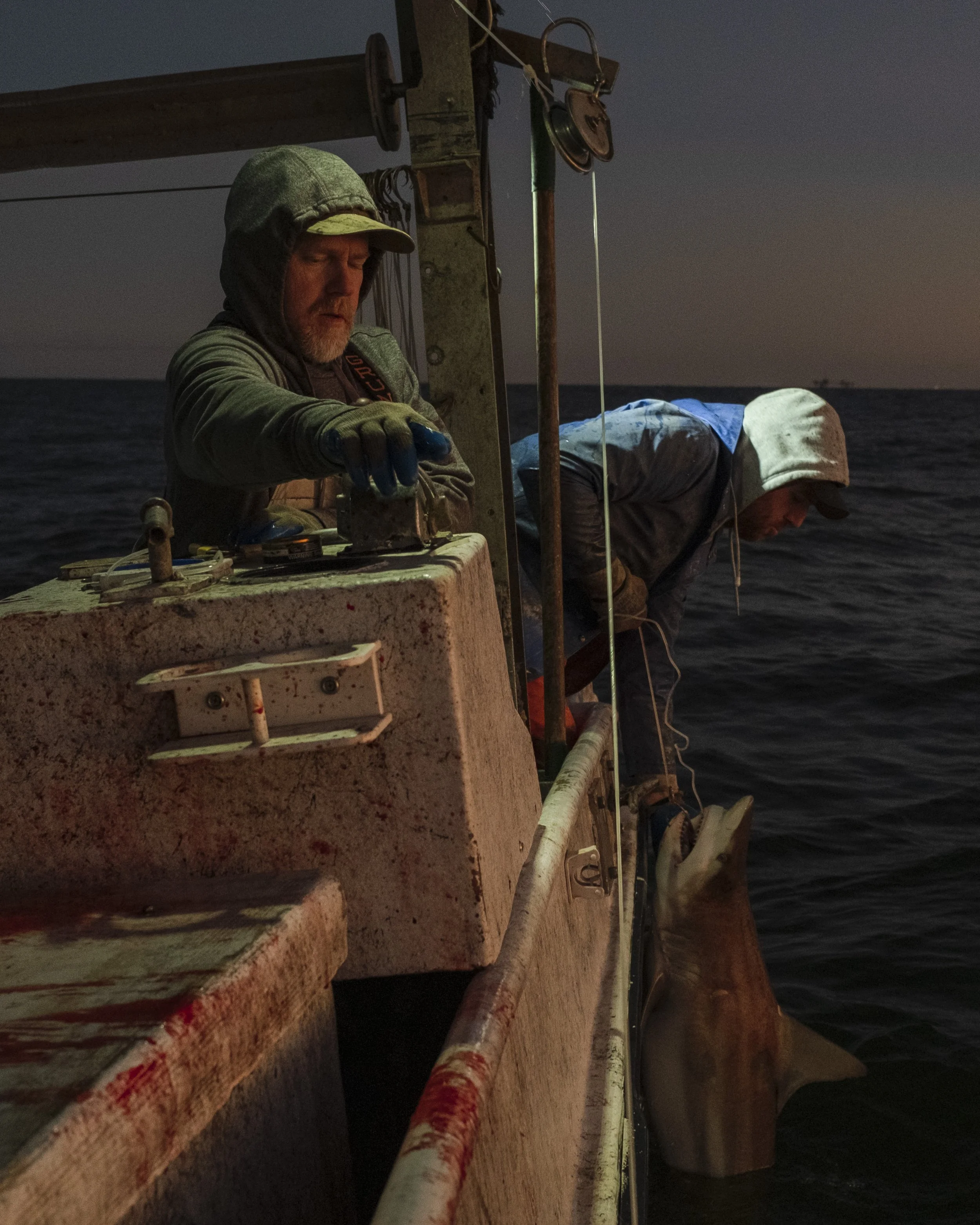 Two fishermen on a boat at dusk or dawn, one handling fishing equipment and the other leaning over the side with a fish.