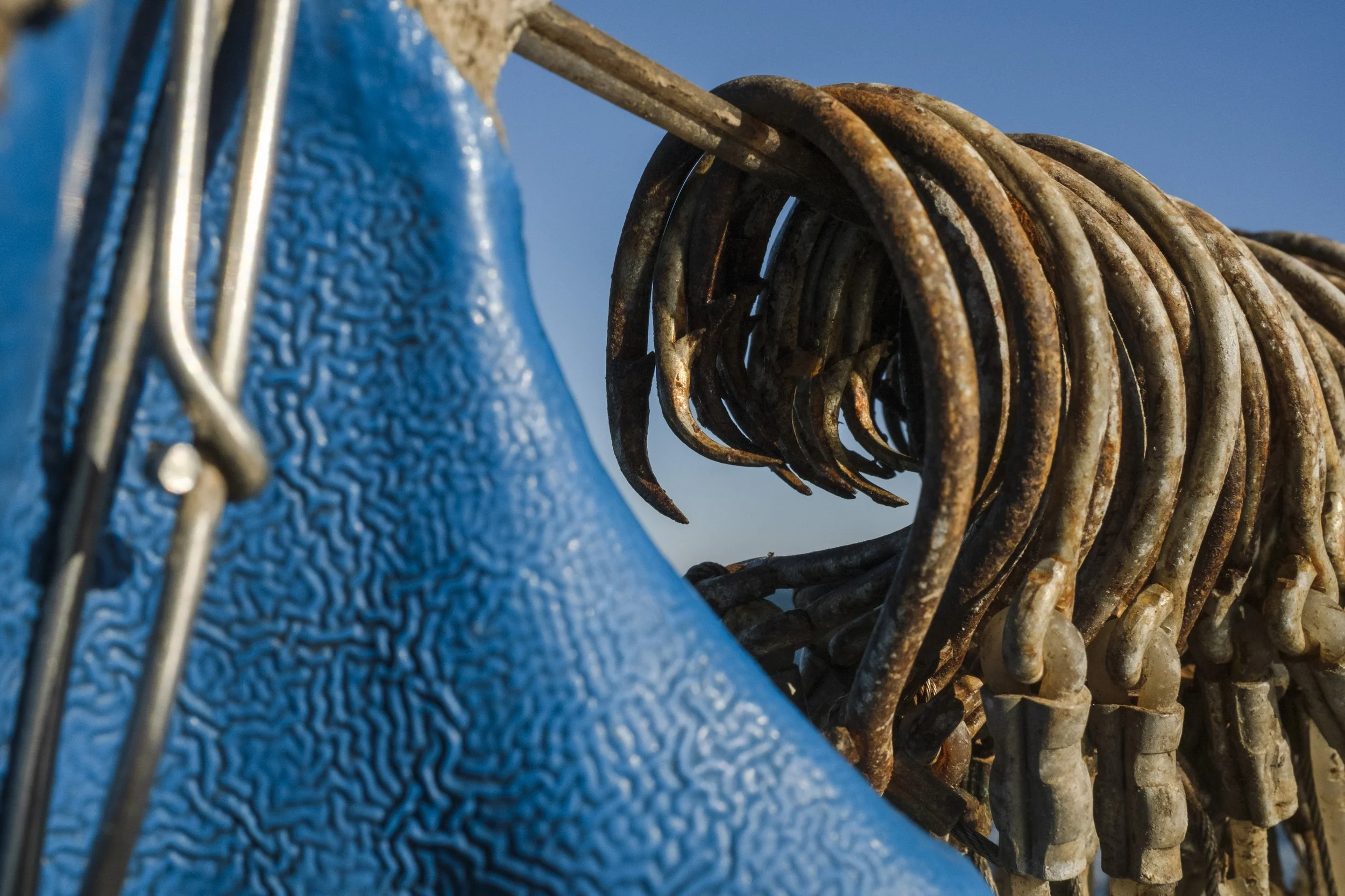 Close-up of rusty fishing hooks hanging on a wooden rack with a blue textured surface in the background