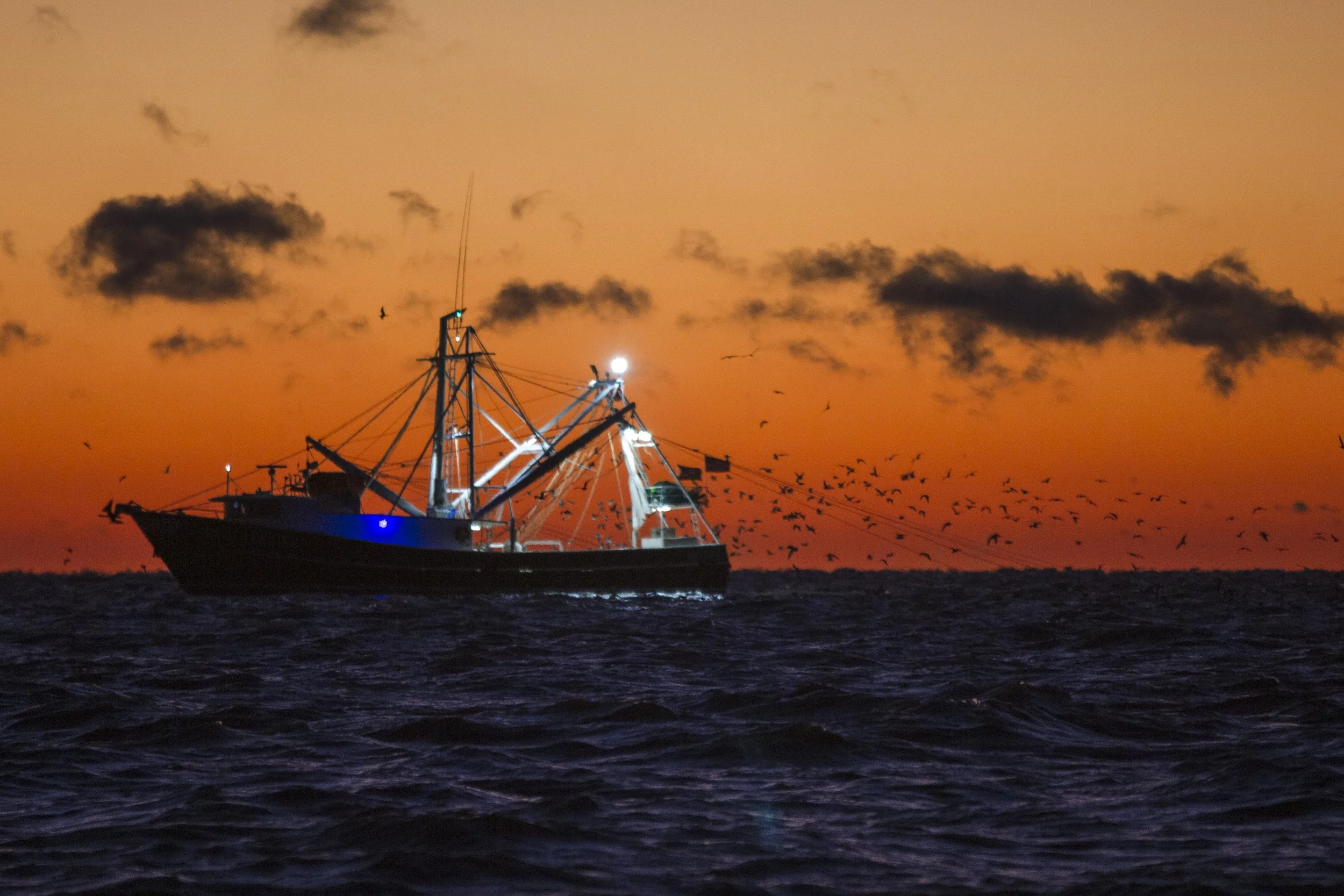 A fishing boat on the ocean during sunset with seagulls flying around.