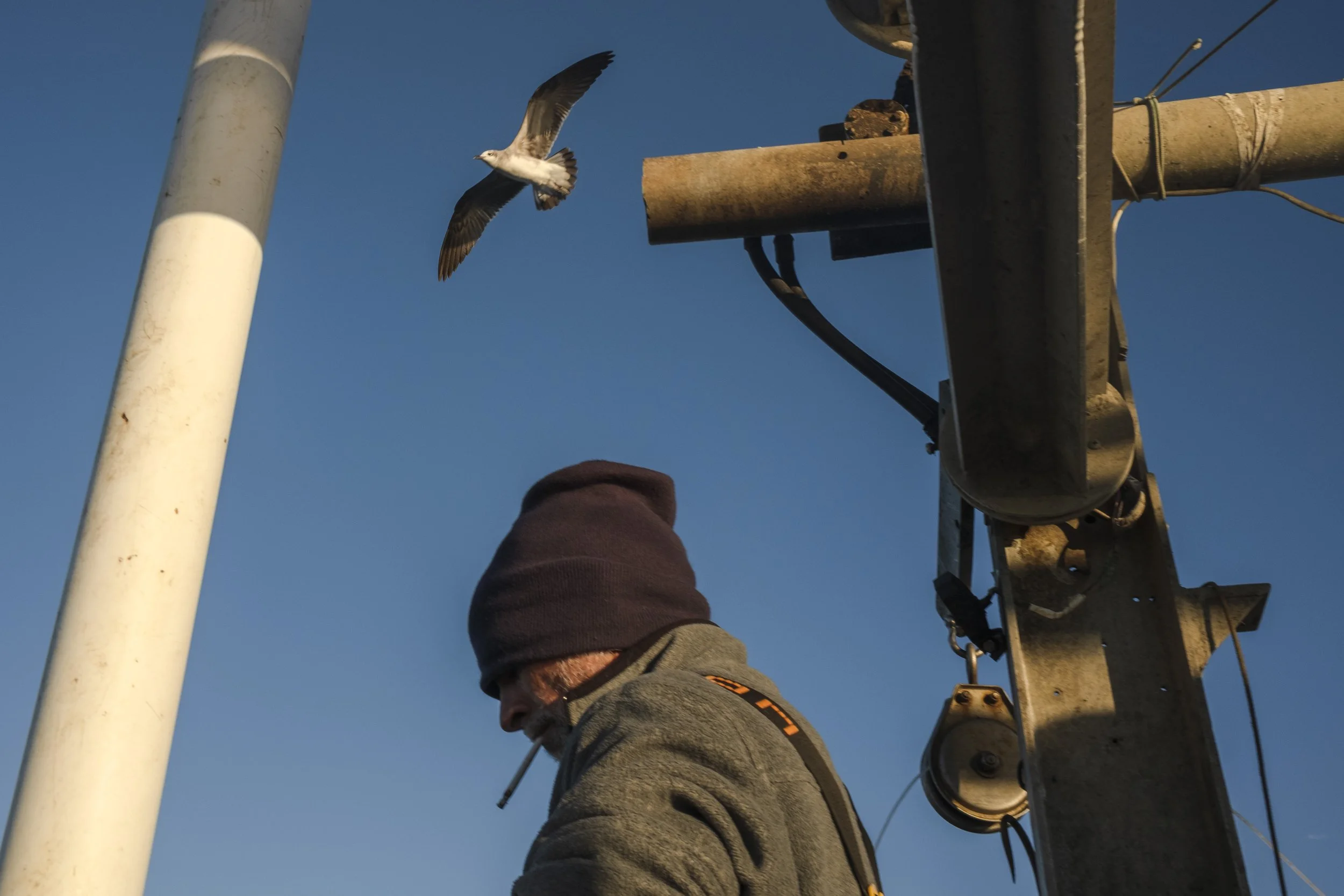 A man wearing a beanie and gray hoodie, smoking a cigarette, standing near a utility pole with wires and a bell. A seagull is flying in the clear blue sky above.