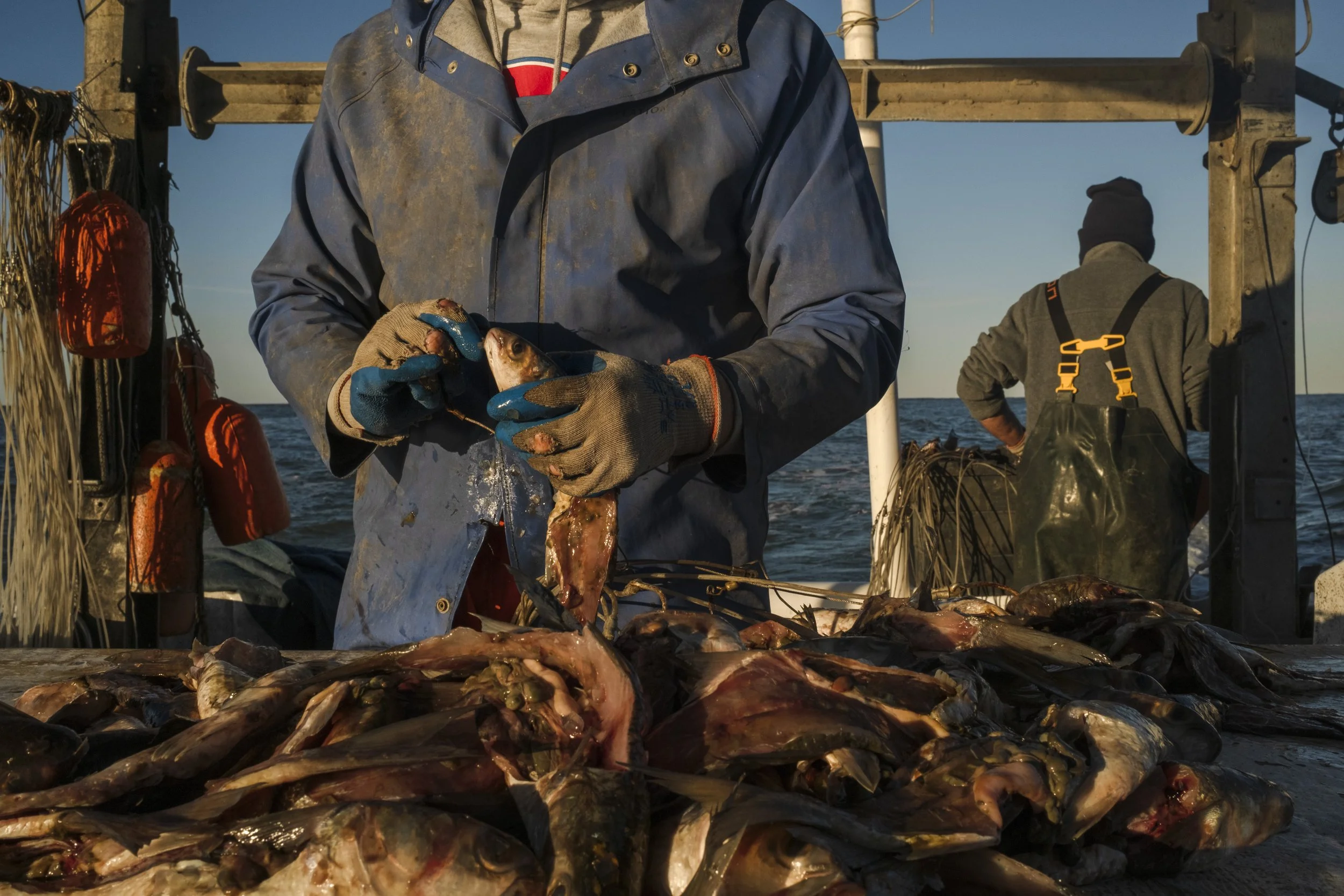 A person holding a fish on a boat during a fishing trip with a pile of fish on the deck, and another person in the background looking out at the ocean.