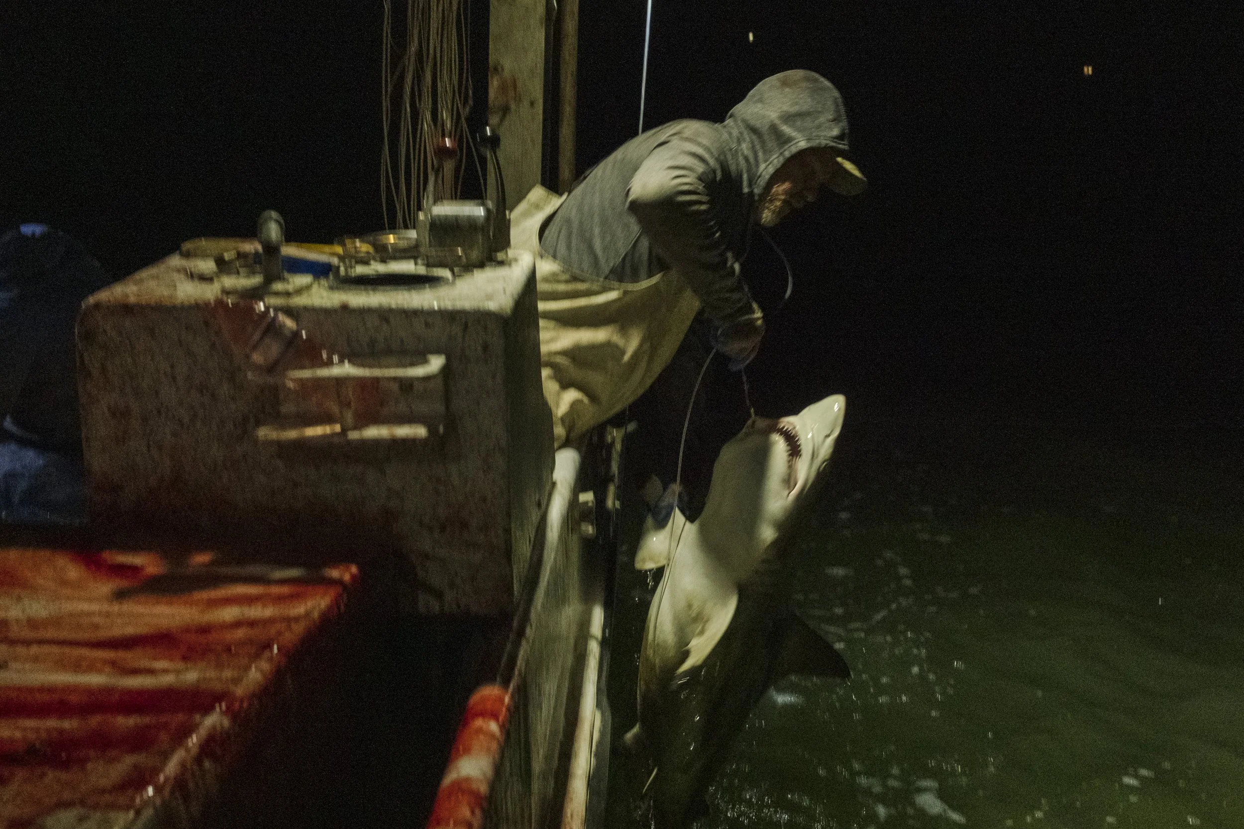 A man on a boat at night holding a large shark with a fishing line, with a table and tools on the boat.