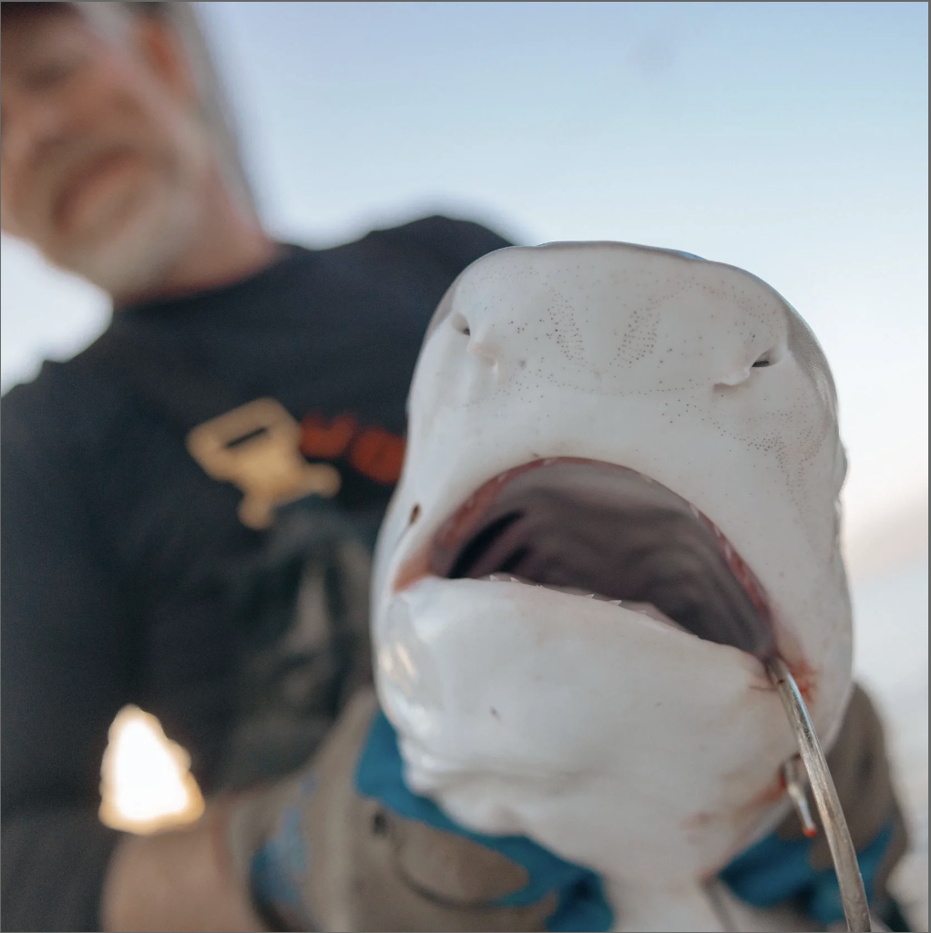 Close-up of a person holding a large fish head with an open mouth, showing teeth and tongue, with the person blurred in the background.