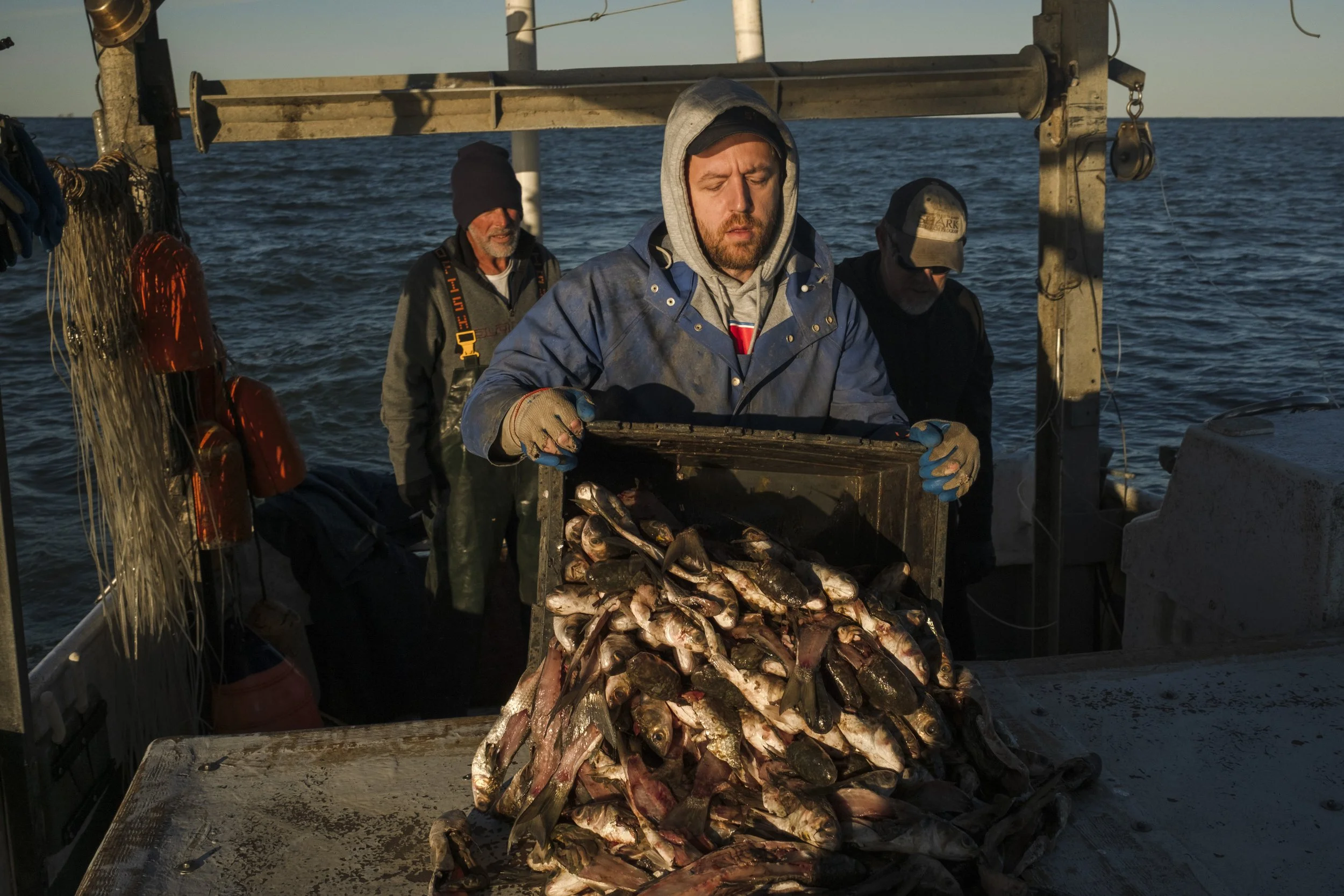 A man in a blue jacket and gloves holds a box of freshly caught fish on a boat at sea during sunset, with three other men in the background.