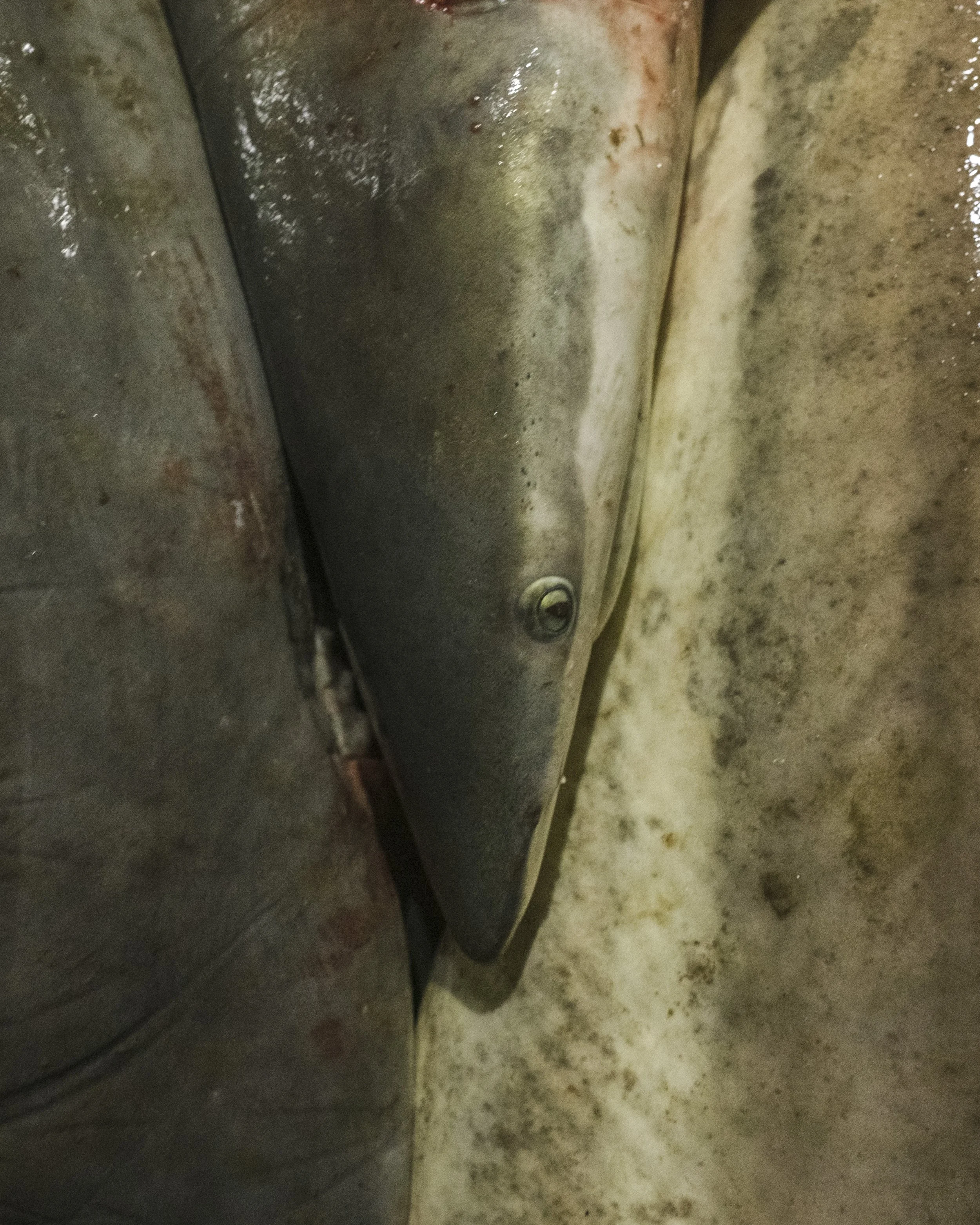 Close-up of a rusty, dirty metal surface with a screw or bolt.